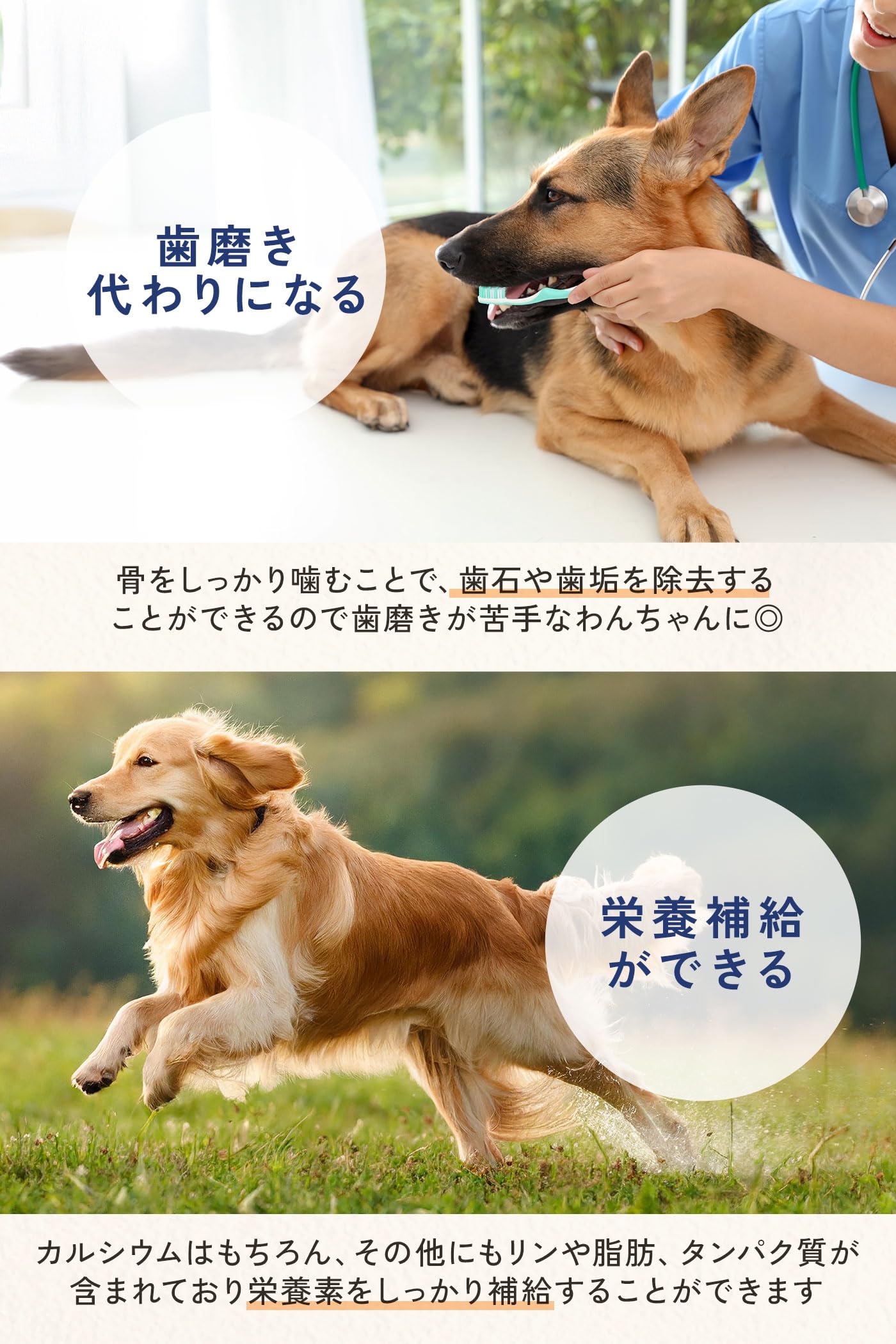 Amazon | いぬのくらし 鹿骨 鹿 肩甲骨 犬のおやつ 犬用 骨 無添加