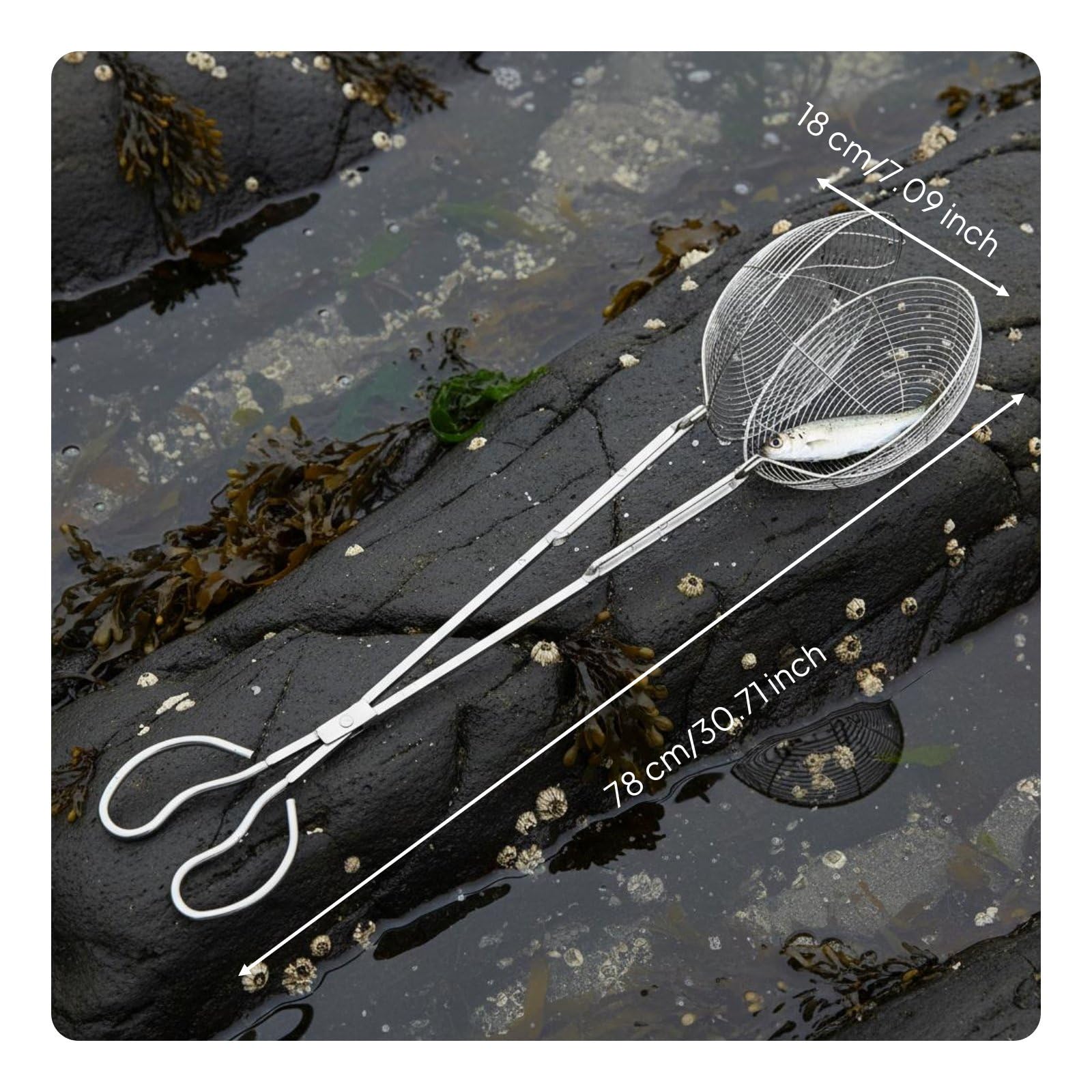 Pince INOX Prédateur Fruits de Mer Pince Grille Cage Long Manche Saisie Ferme Antidérapante Allonge Étendue Utilisation Polyvalente Adapté à Pêche au Rivières Ramassage Coquillages, 78CM