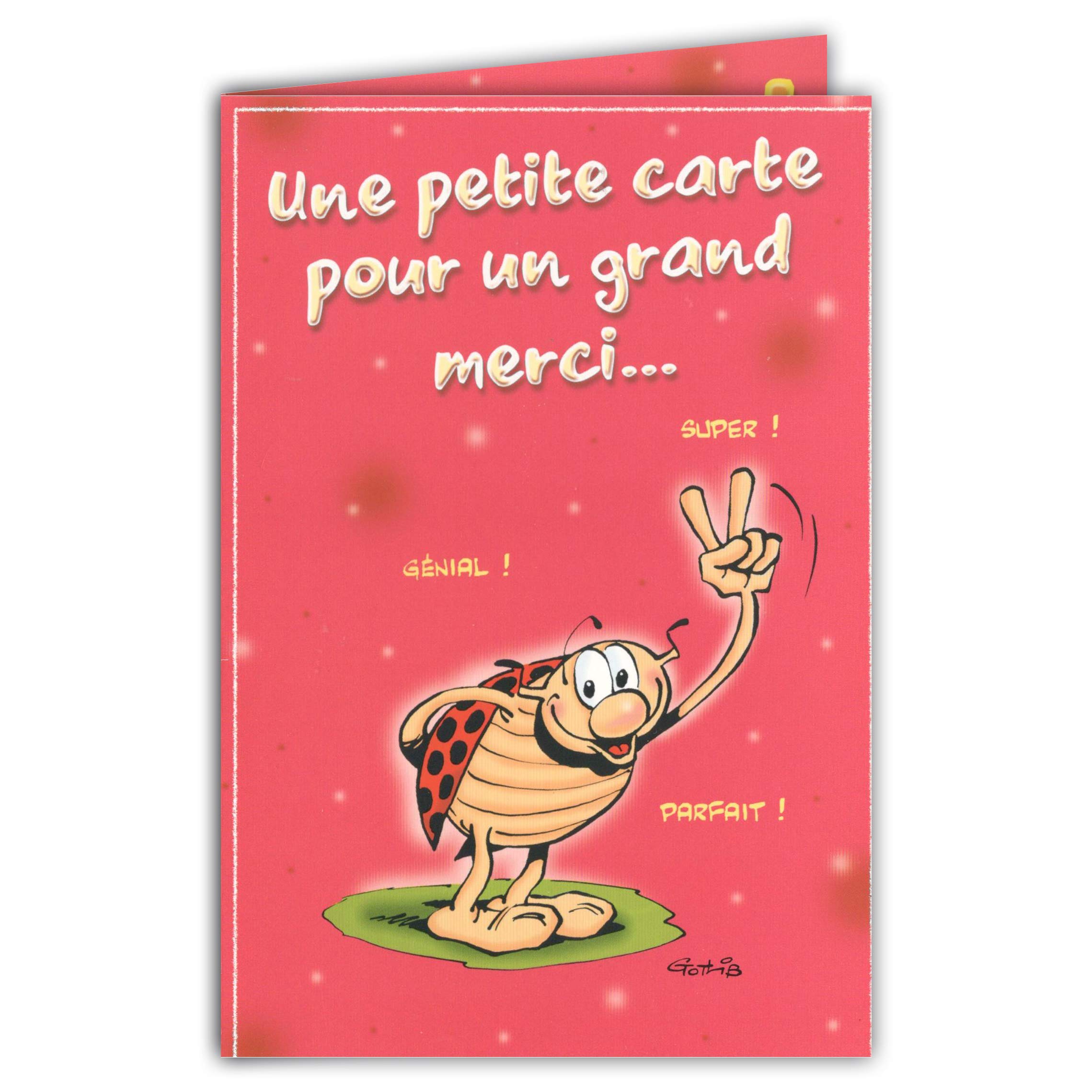 Afie CD Cox 525 Gotlib Ladybird Card with Envelope 17 x 11.5 cm Pink