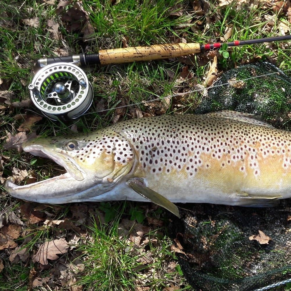 Kołowrotek muchowy, Kołowrotek do połowu muchowego 3/4-9/10 WT