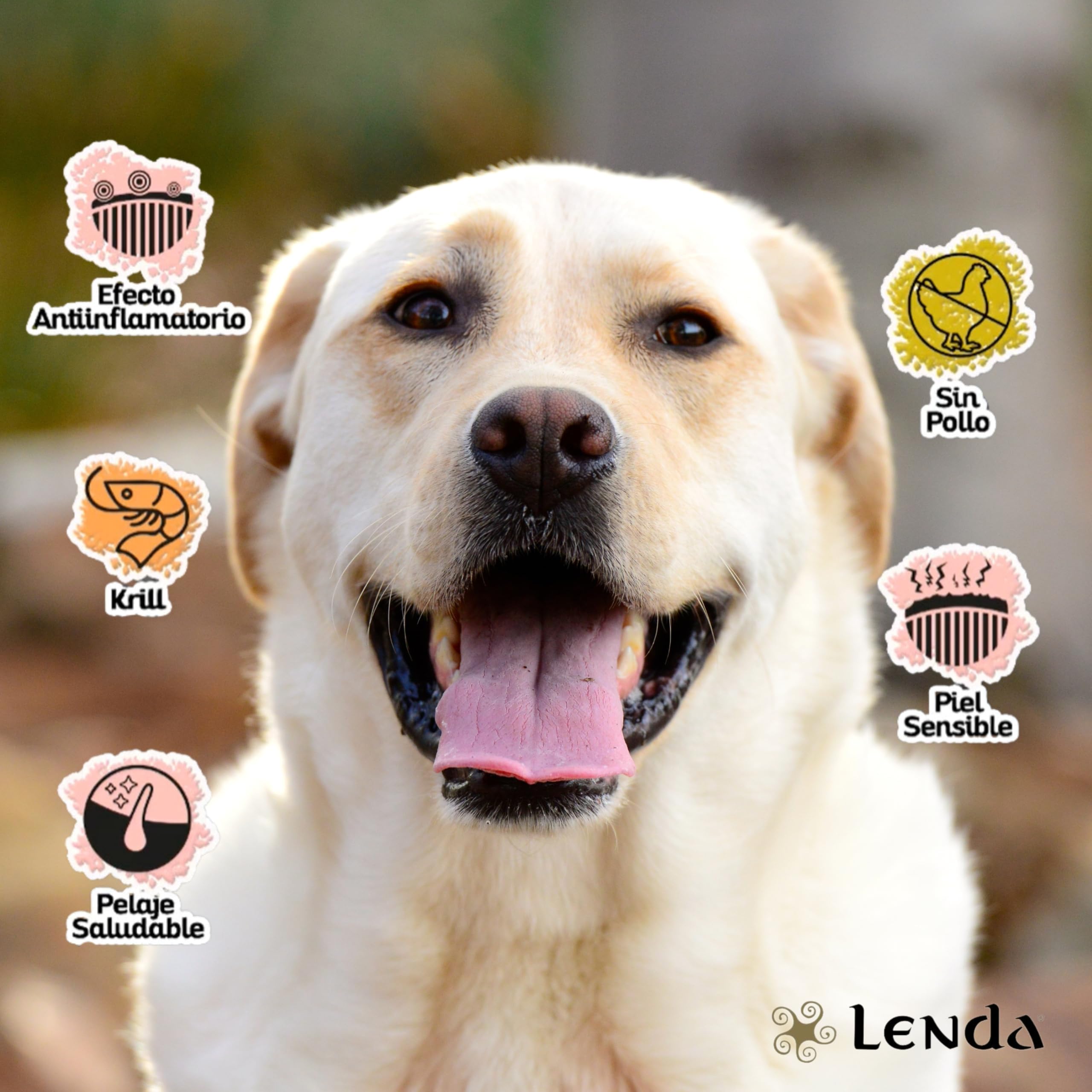 Lenda Atún 12Kg - Pienso Hipoalergénico para Perros Jóvenes y Adultos con Alergias o Intolerancias | Comida para Perros Rica en Atún | Pienso para Perro Natural y SIN Cereales