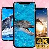 Dolphin Wallpapers 4K 2023 | No Ads | Lock & Home Screen | Share button