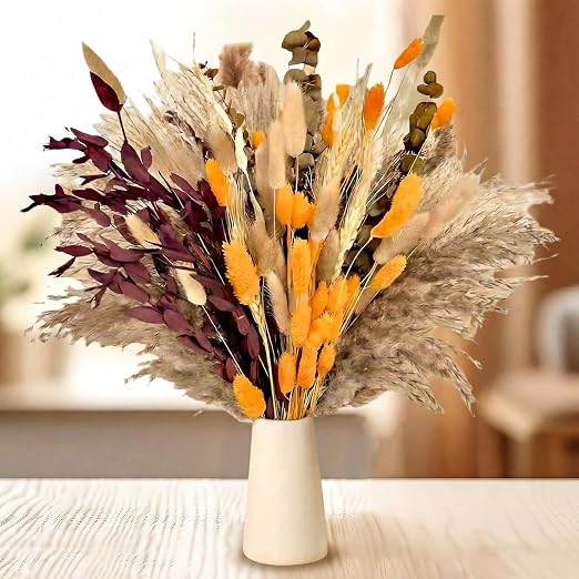 15 pcs Herbe de la Pampa Naturelle, 60 cm Petite Phragmites Communis Bouquet de Fleurs Sechees pour la Décoration Intérieure Maison Mariage Hôtel Table Chambre Photographier (Blanc