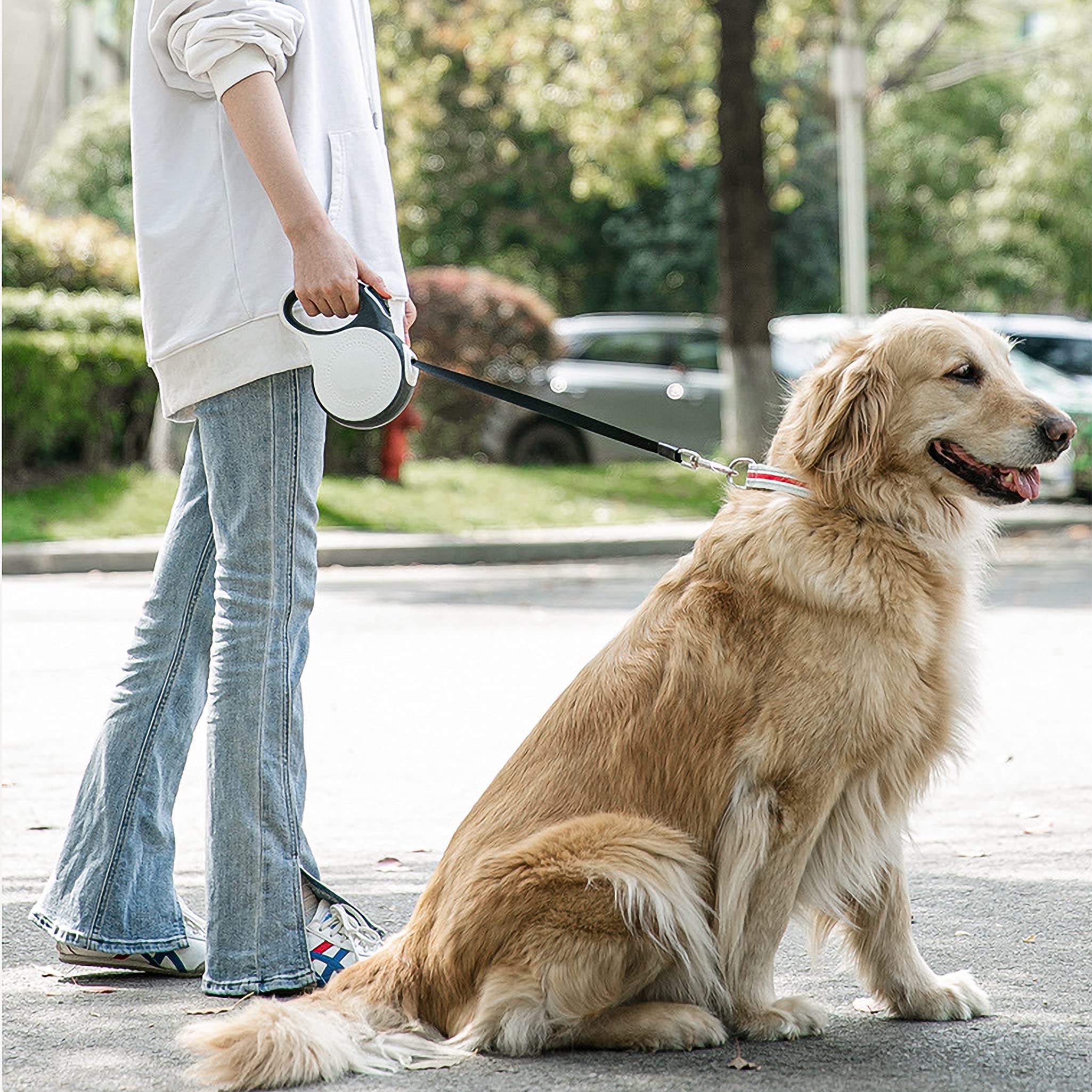 Retractable Leash With Light Roses&Poetry Dog Leash Retractable