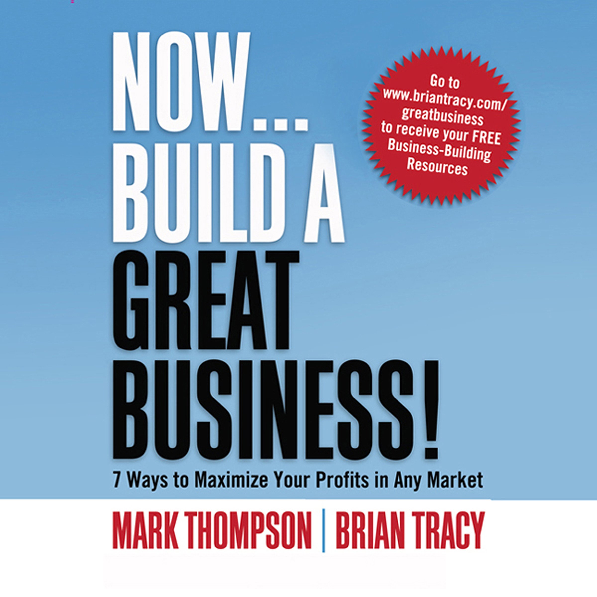 Cover art for Now, Build a Great Business