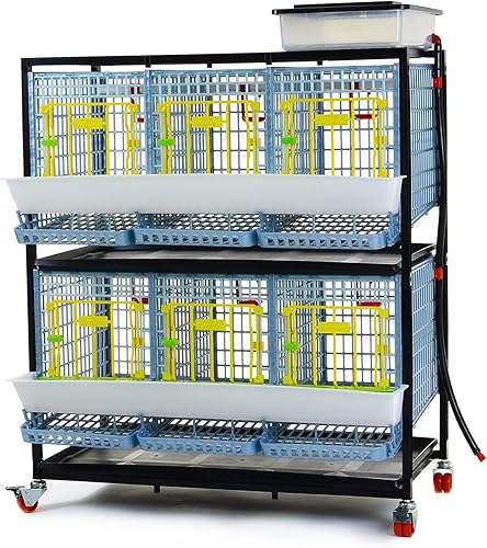 Jaula de pollo - 2 capas de altura 15" (lavable a presión, duradero, plástico ABS) Hatching Time