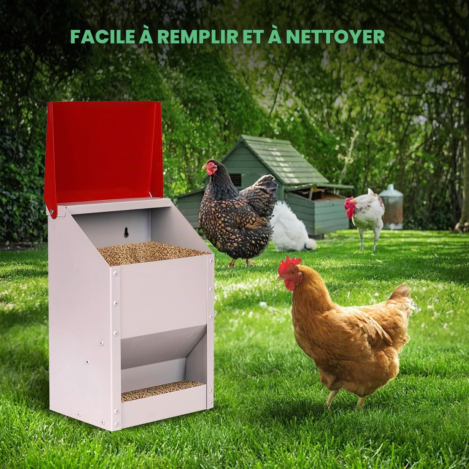 Distributeur de Nourriture Automatique pour Volaille 4,5 kg – Galvanisé avec Couvercle Suspendu, Mural pour Poulet Canard Extérieur