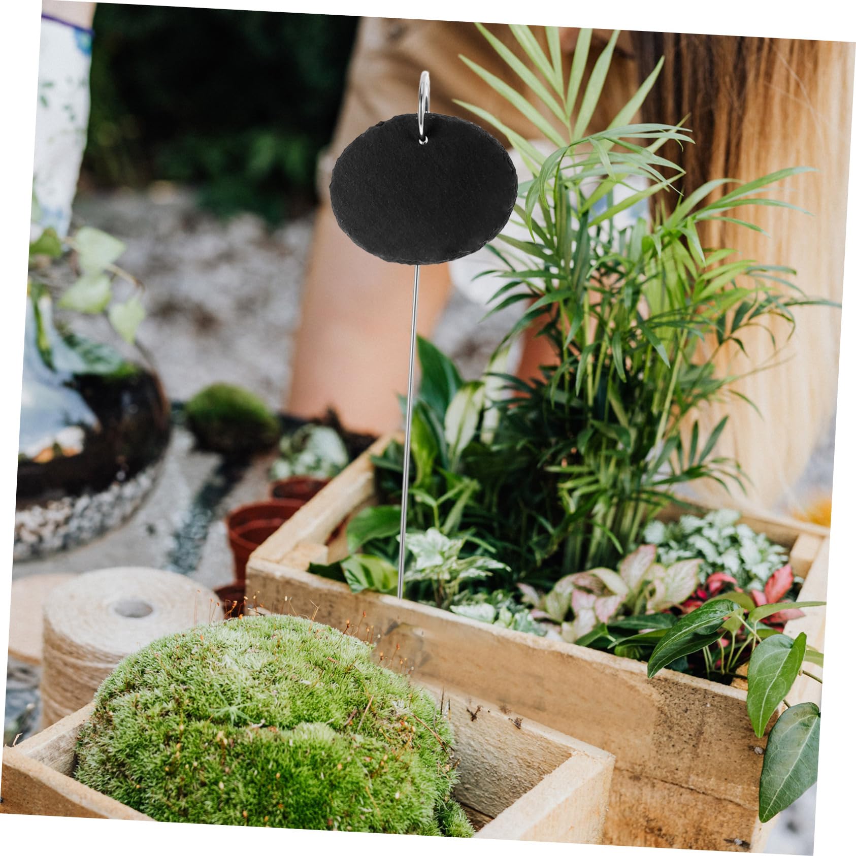 Mipcase 15 Sztuk Etykieta Na Rośliny Ogród Żłobkowy Markery Trawnik Etykiety Ozdoby Tablice Identyfikacyjne Nazwa Rośliny Tagi Roślina Tag Soczyste Etykiety Etykiety Ogrodowe Roślina