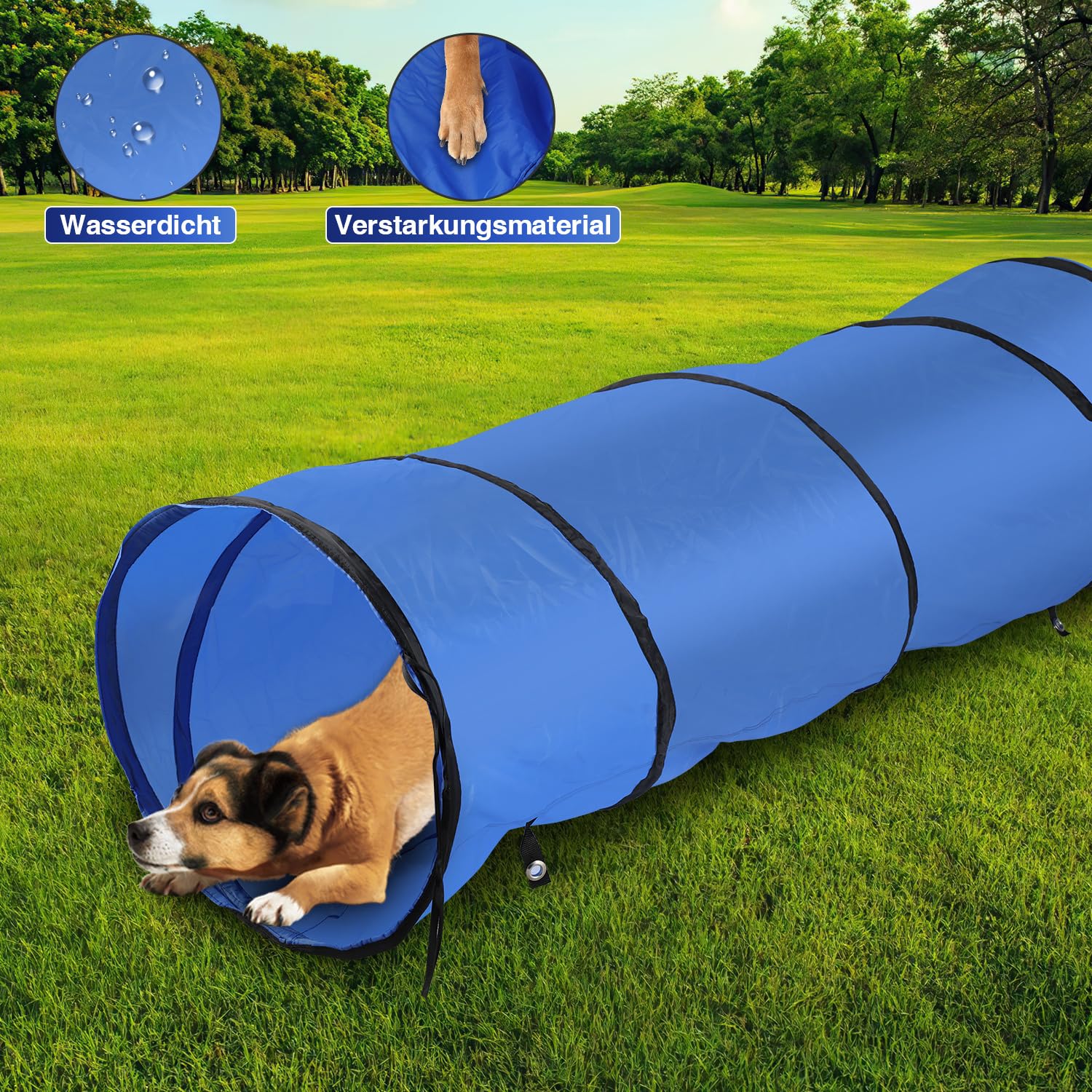 Agility Set Hunde,Mehrteilig mit Springring,Slalomstangen,Tunnel | Mehrteiliges Trainingsset mit Springring,Slalomstangen und Hundetunnel inklusive Tragetaschen,Pfeife und blauem Ball