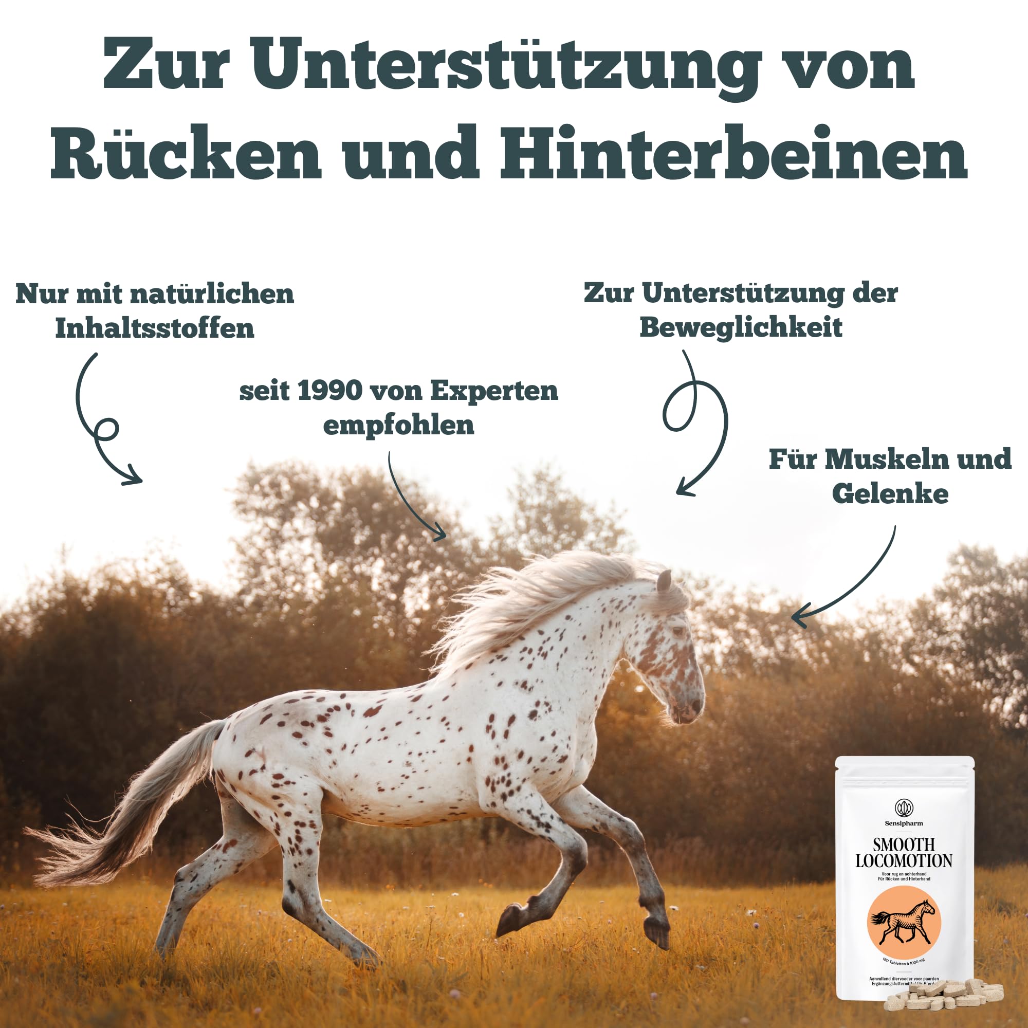 Smooth Locomotion Horse - Suplement diety dla silnych pleców, tylnej ręki i kopyta - wytrzymałość na koń - 180 tabletek po 1000 mg
