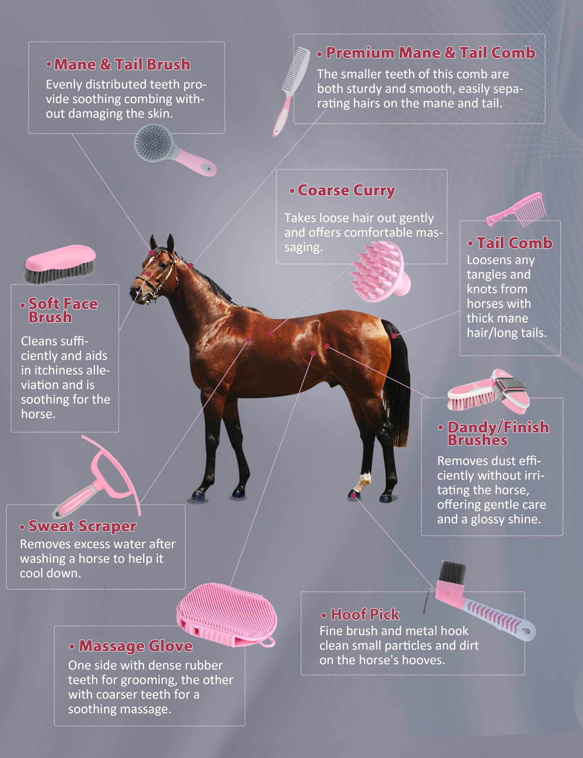 Harrison Howard Set per la cura dei cavalli, 11 pezzi, set di spazzole per la cura dei cavalli, con organizer, borsa per il trasporto, accessori per la cura della sella, strumenti per il massaggio