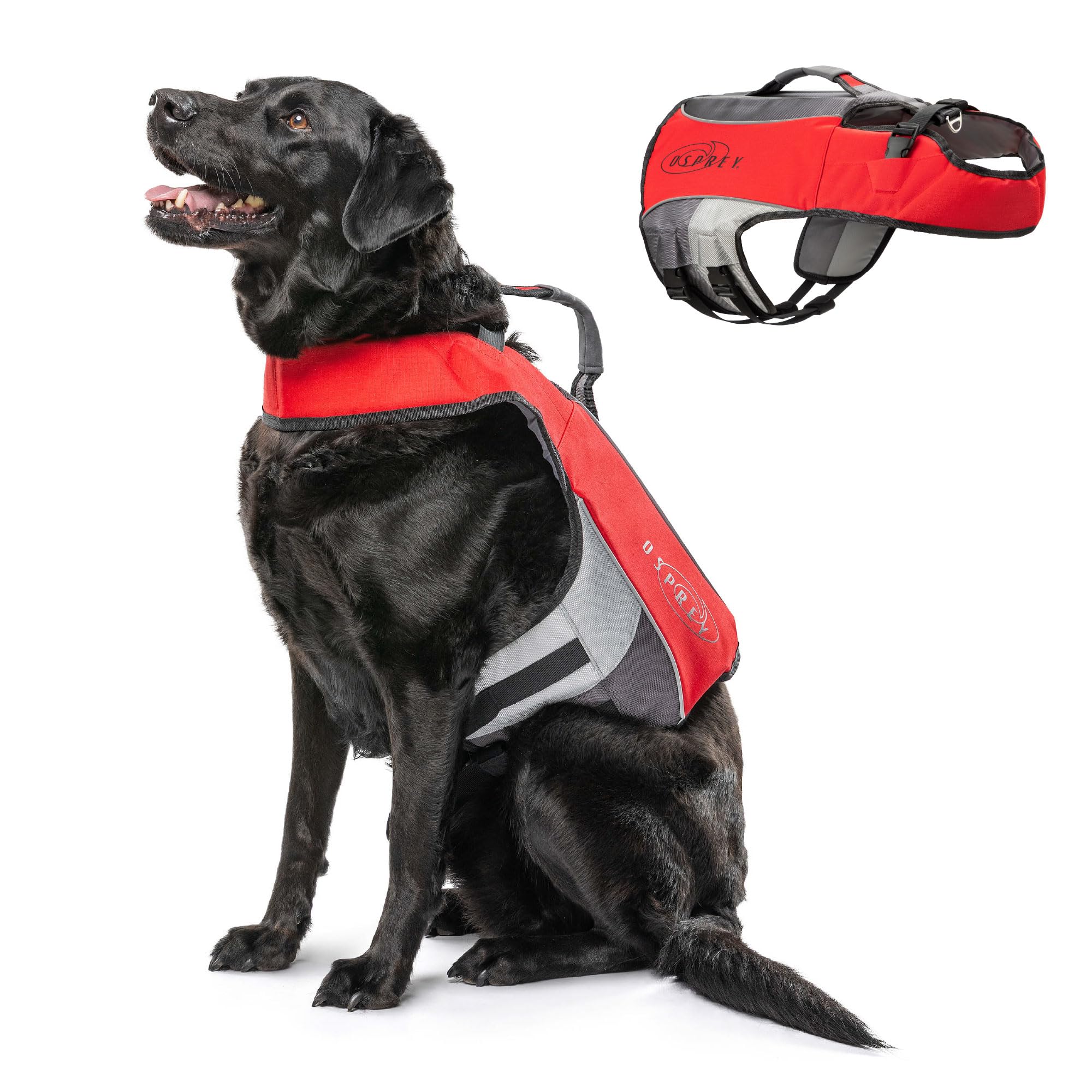 Osprey Dog Life Jacket, Adjustable Buoyancy Aid with Handle, Reflective Strips, Fits Small, Medium & Large Dogs – Swim Safety Vest for Water Activities & Paddleboarding