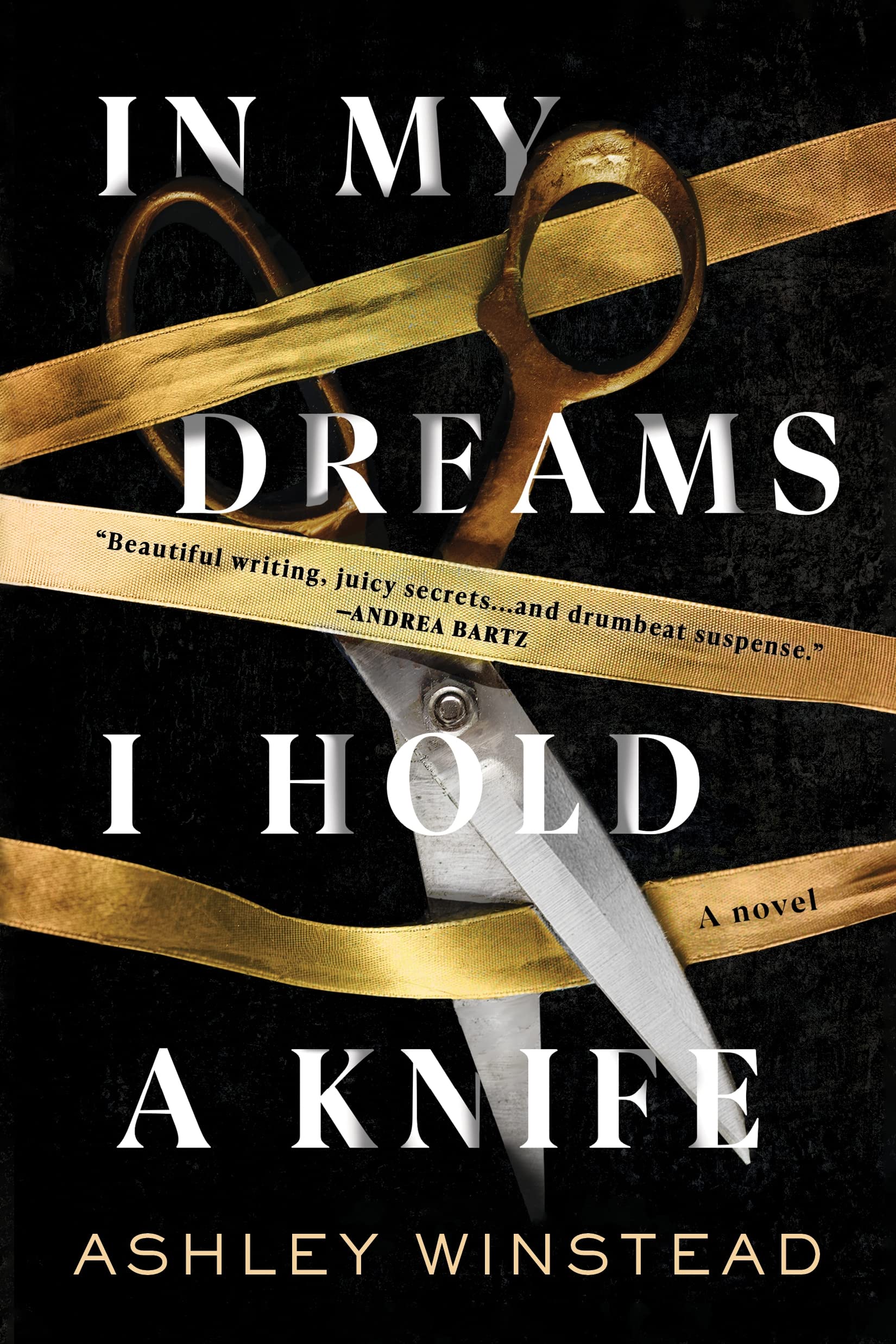 In My Dreams I Hold a Knife: A Novel Paperback – April 19, 2022
