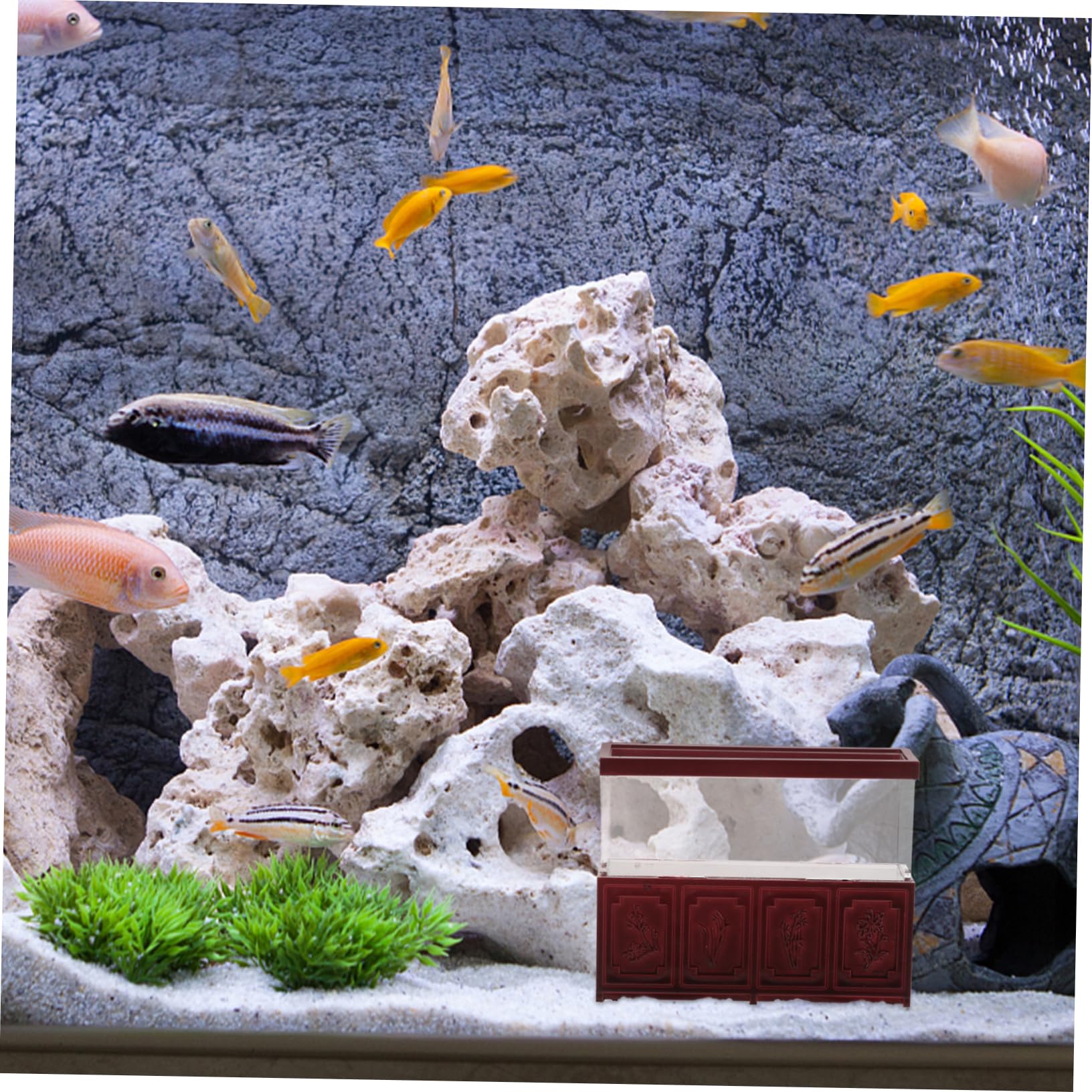 5pezzi Miniature Fish Tank Desk Ornament Decorazione Retro e Accessori Per Accogliente