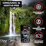 Fire & Earth - Organic Hawaiian Lava Black Sea Salt - Black Salt 0.5lb - Gourmet Finishing Salts for Seasoning - Fine Grain, With Activated Charcoal - For Rimming Cocktails, Cooking and More, Pack of 1