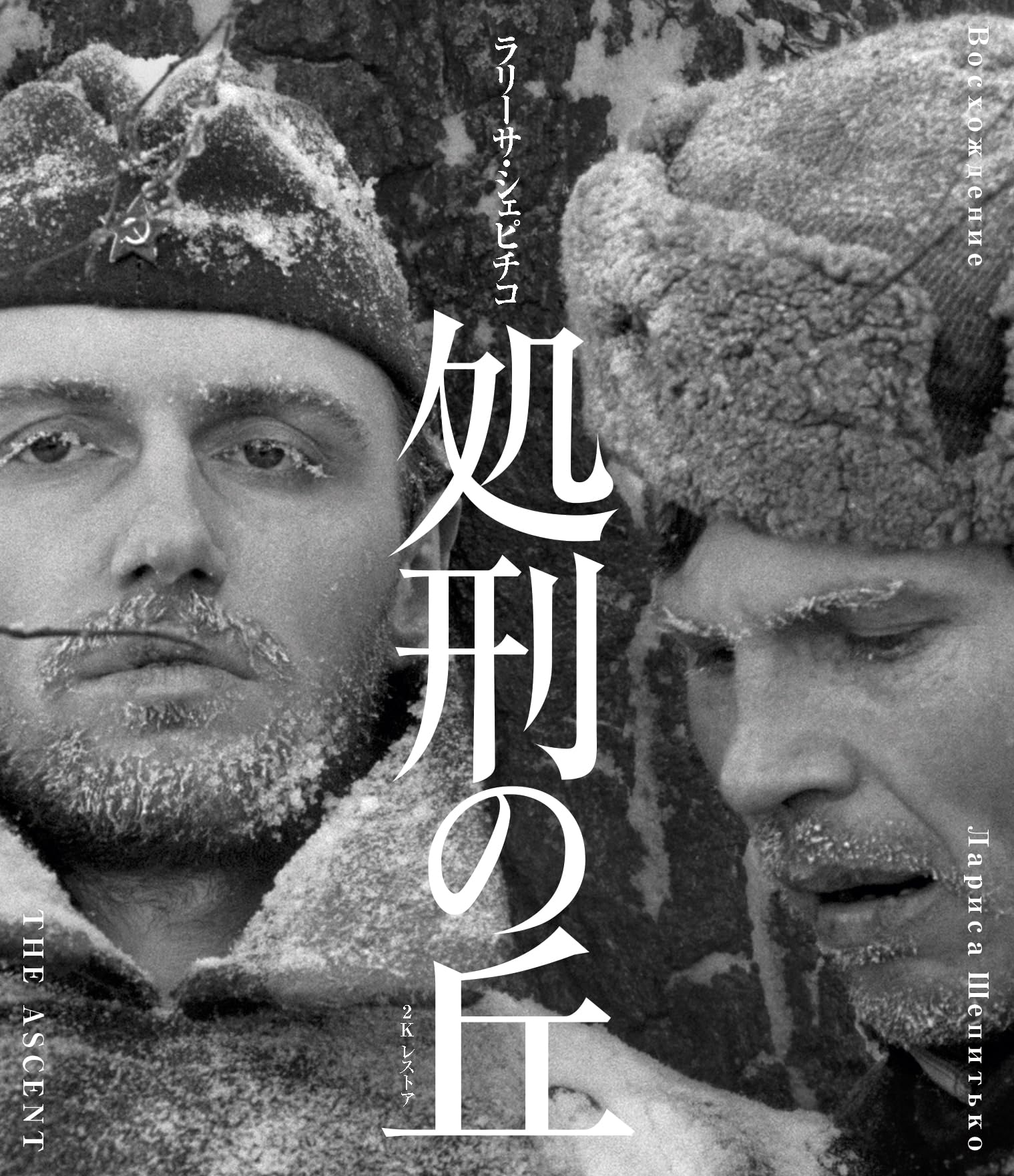 Amazon.co.jp: 処刑の丘 ラリーサ・シェピチコ 2Kレストア Blu-ray