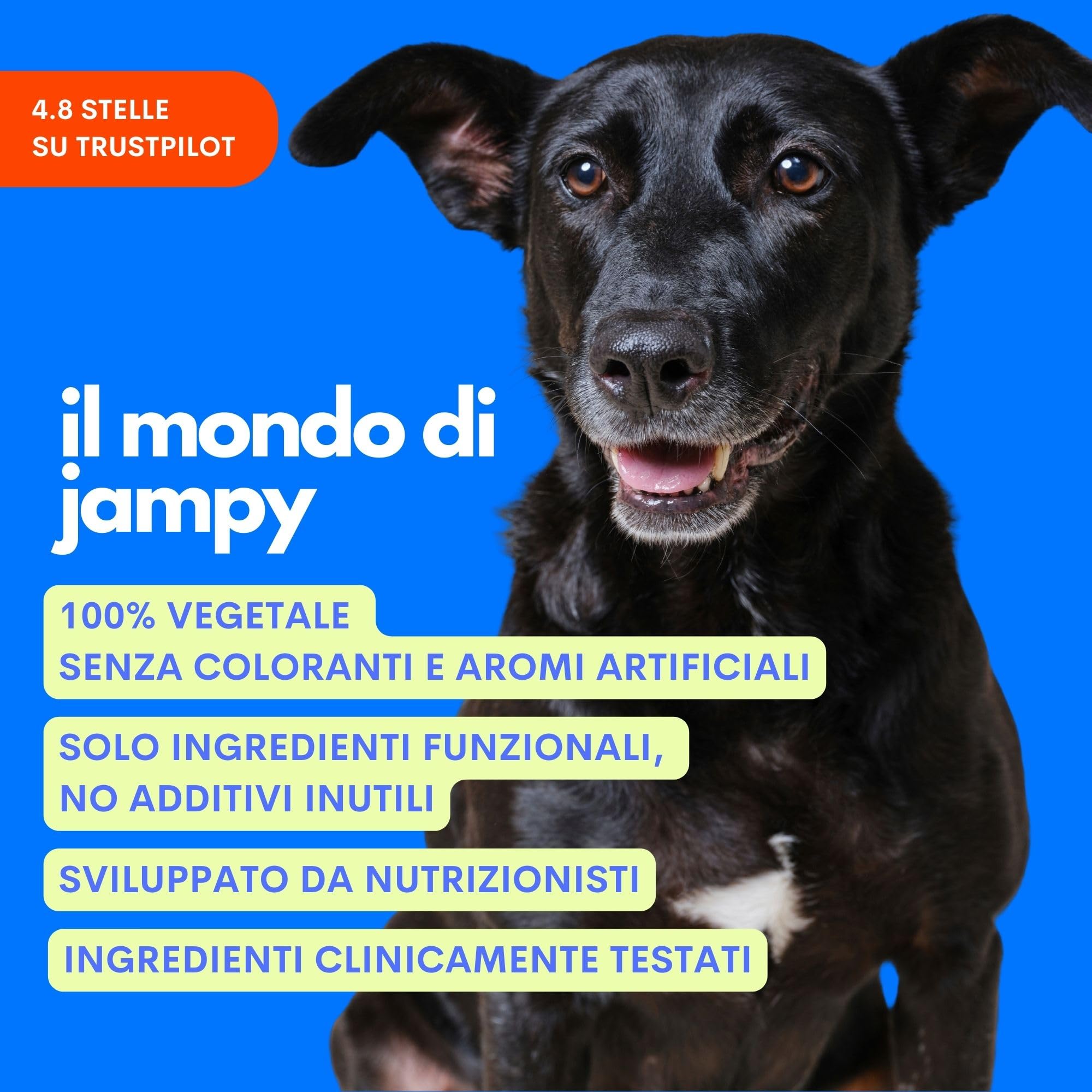 JAMPY Multivitaminico Cani- Integratore Completo con Glucosamina, Biotina, Triptofano, Prebiotici & Probiotici. Supporto Ossa, Pelle, Manto e Benessere Digestivo - 60 misurini.