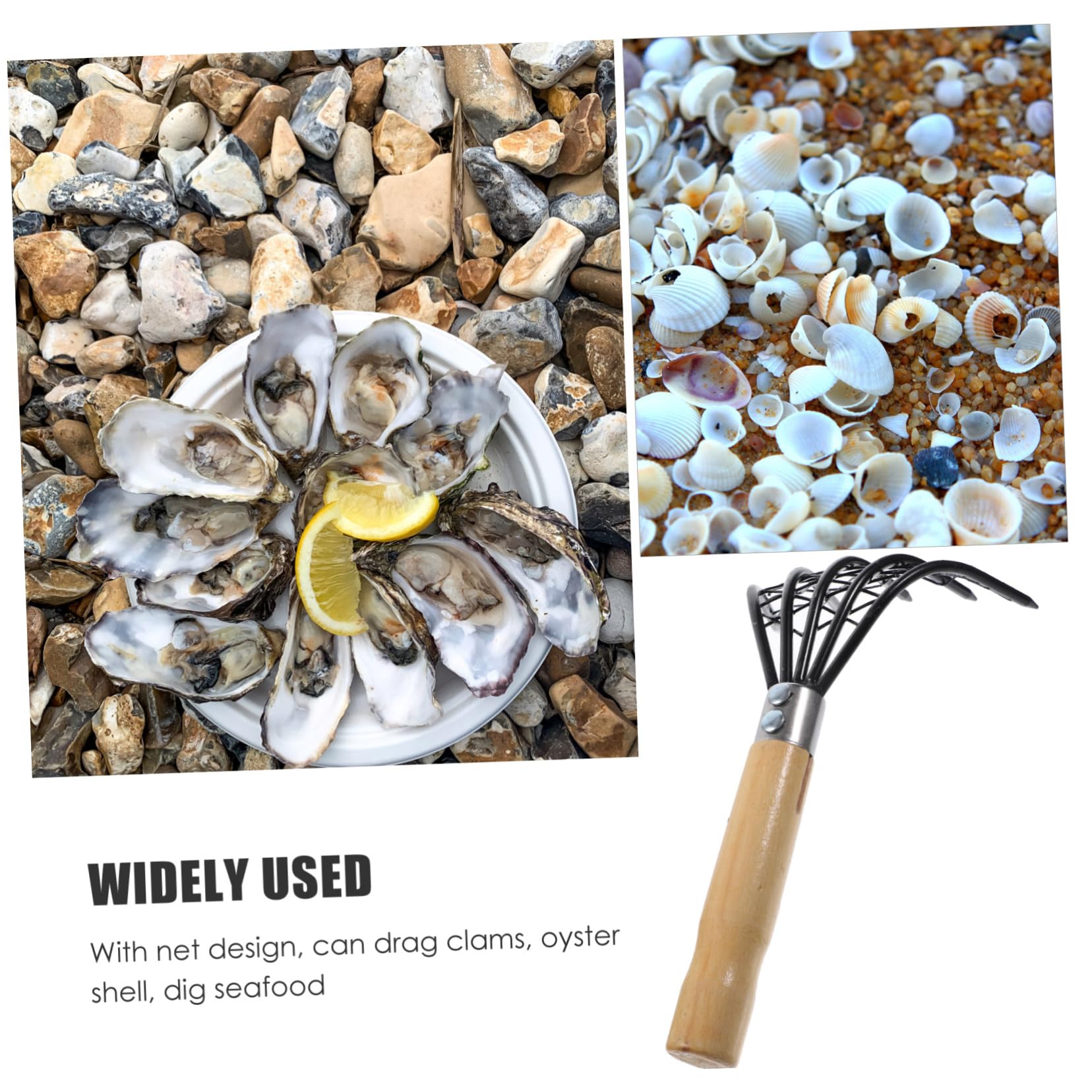 Toddmomy 2stücke Muschelrechen Mit Netz Werkzeug Zum Ausgraben Von Meeresfrüchten Am Strand Holzgriff Langlebig Und Effizient