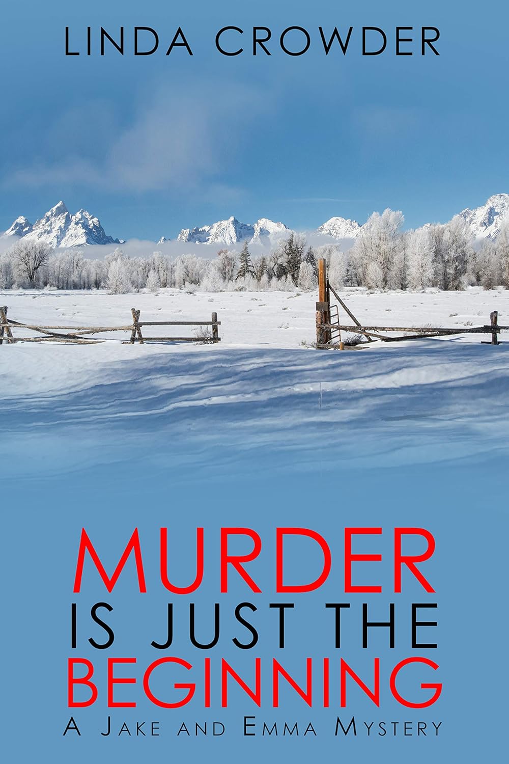 Murder is Just the Beginning (A Jake and Emma Mystery Book 1)