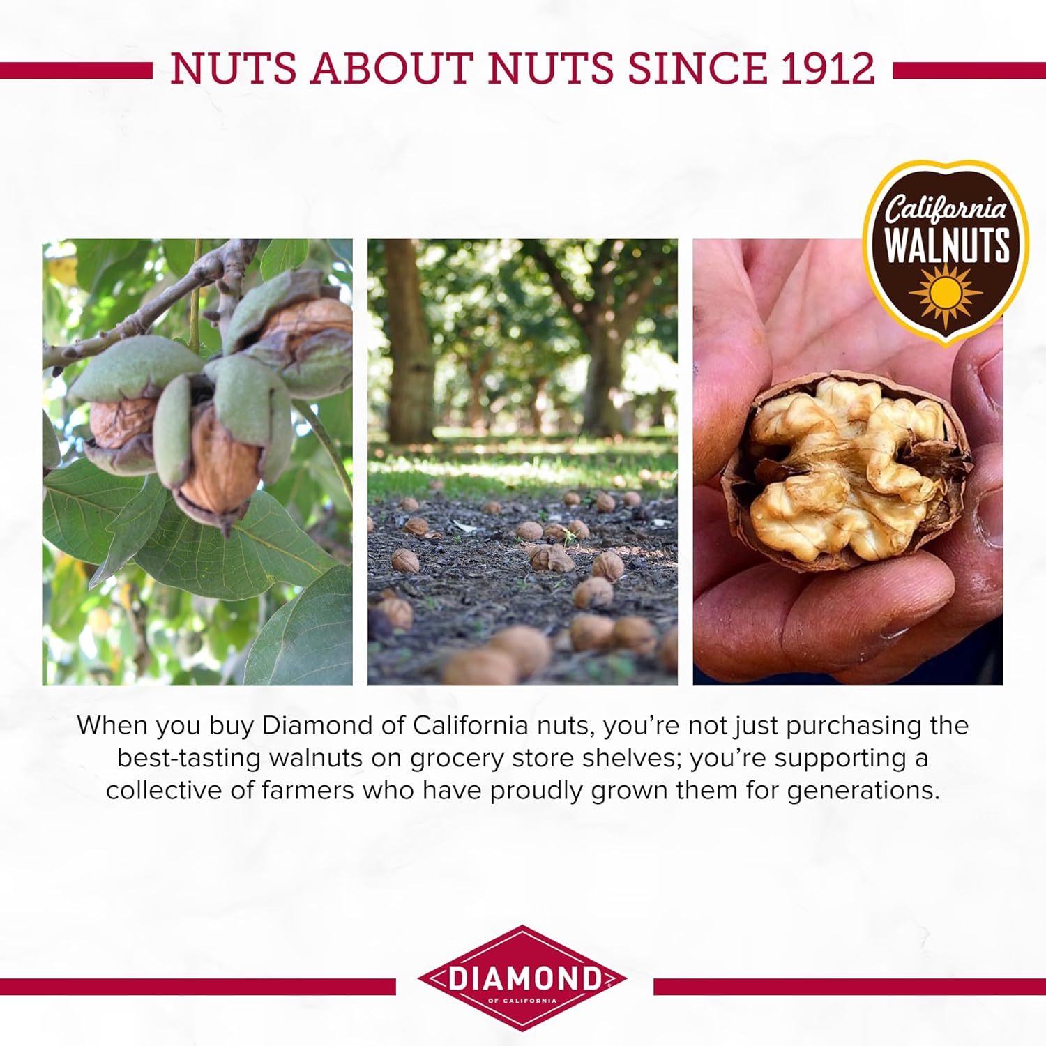 Diond of Salted Dark Chocolate Walnut Sna Nuts,.