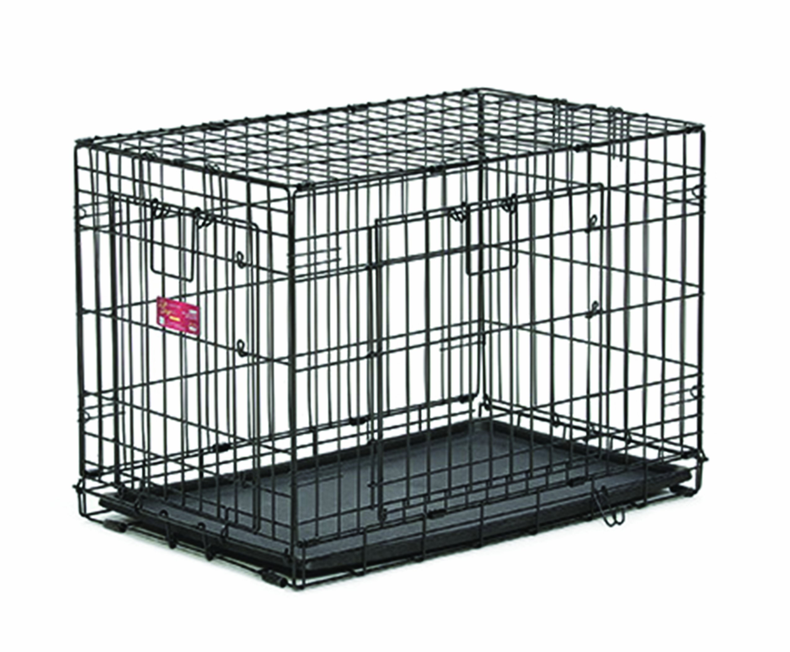 MidWest Homes for Pets Life Stages ACE Double Door Dog Crate, 42-Inch