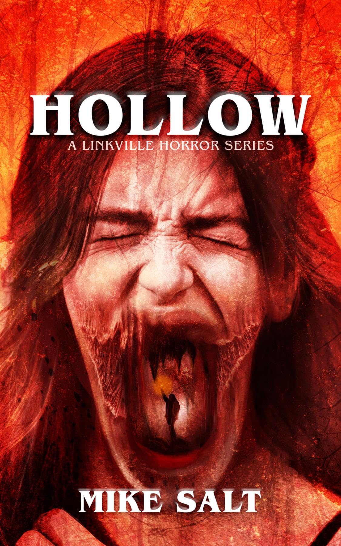 Cover of Hollow