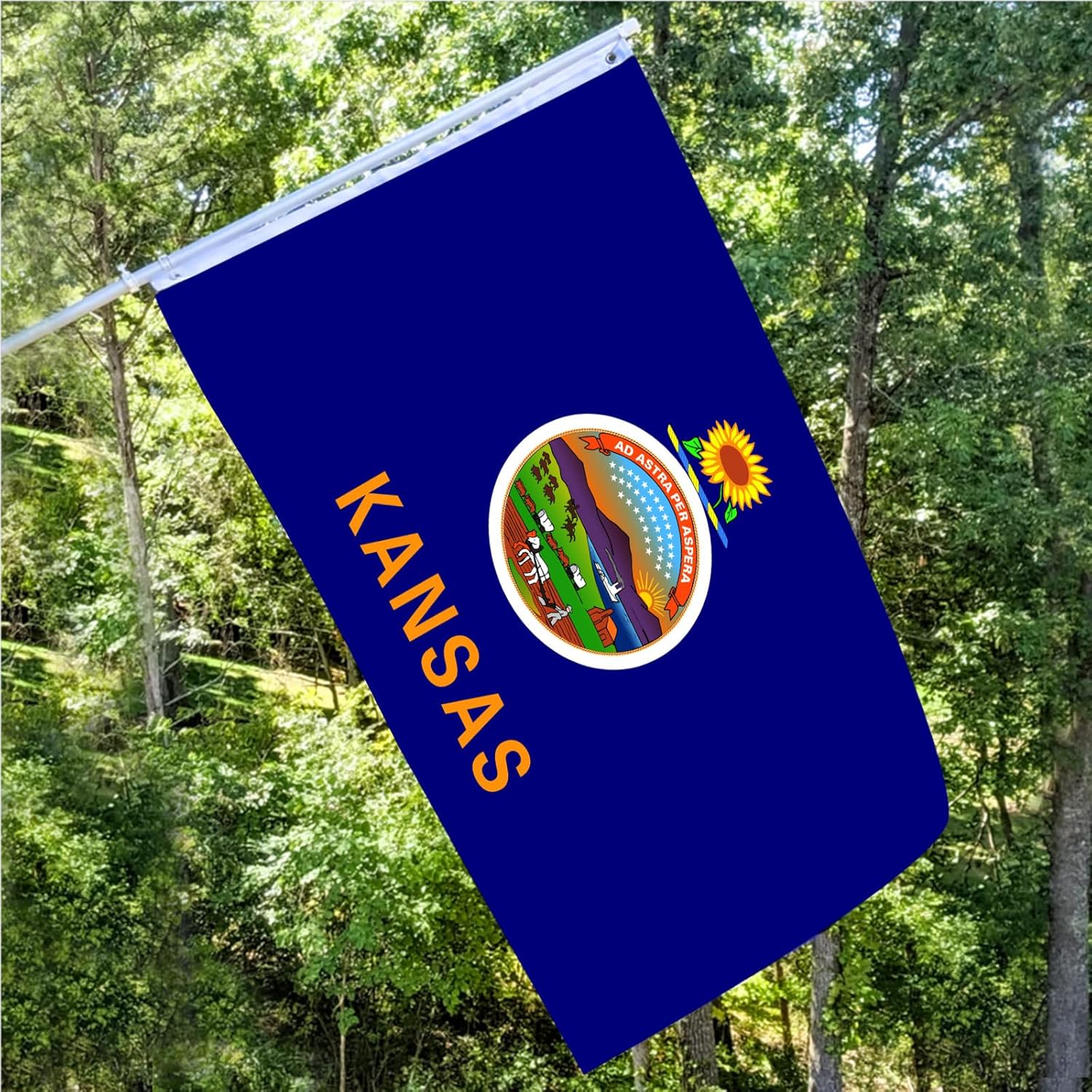 METDIRU Kansas State Flag 3x5, Double Sided, 3 Layers, Polyester, Fade Resistant, Brass Grommets, Indoor Wall Decor