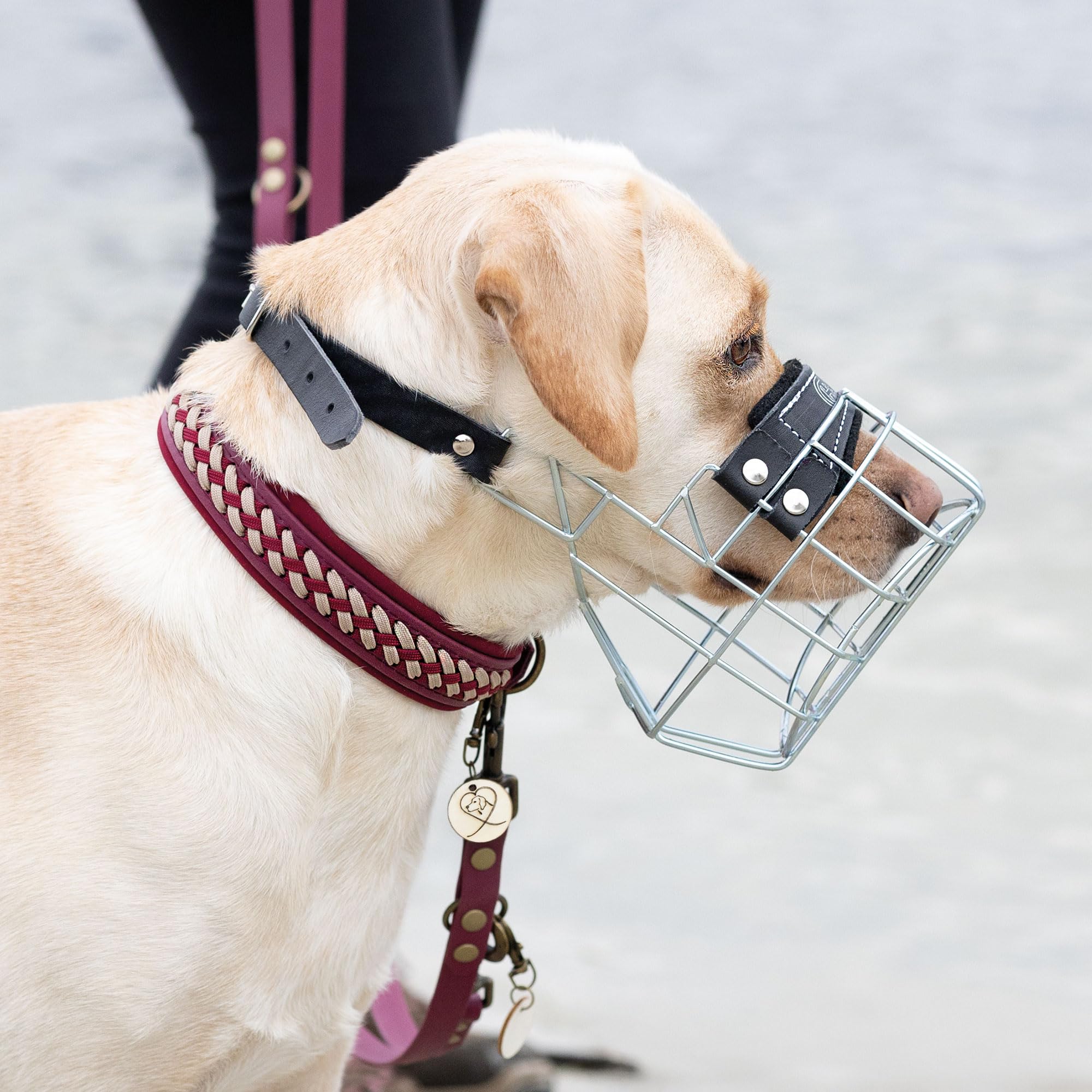 CHOPO Muselière en fil métallique pour chien allemand – Muselière pour chien – Confort et sécurité dans un équilibre parfait