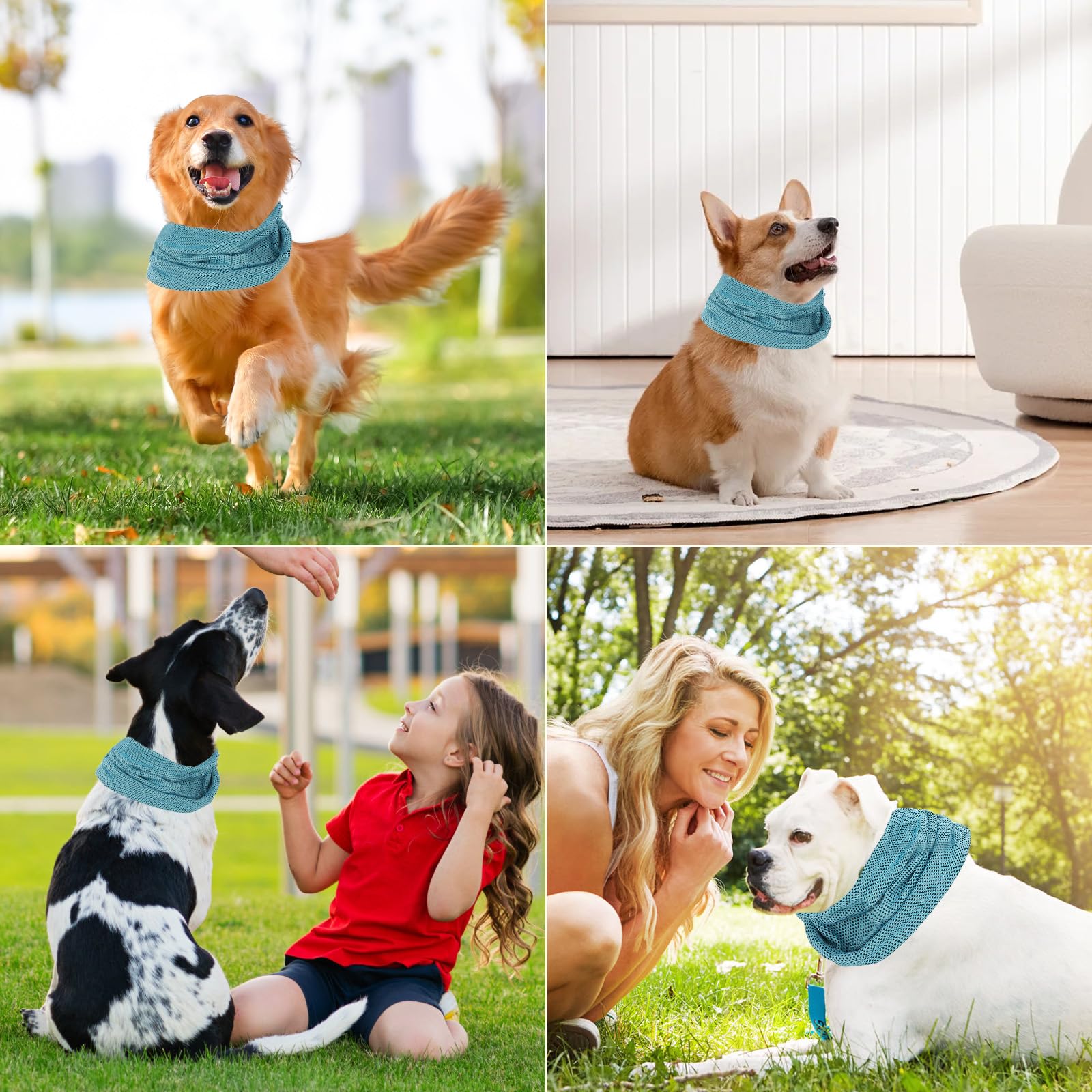 Bandana Rinfrescante per Cani,Collare Rinfrescante per Cani, Sciarpa per il Ghiaccio per Cani, Traspirante Bandana Rinfrescante Istantanea per Cani, per Cani Animali Domestici in Estate (Blu/L)