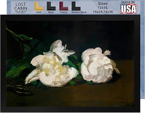 Jarrón de cabaña perdida de peonías 1864 de Edouard Manet  Marco plano negro de lienzo  Reproducción de pintura de obras de arte finas  Póster
