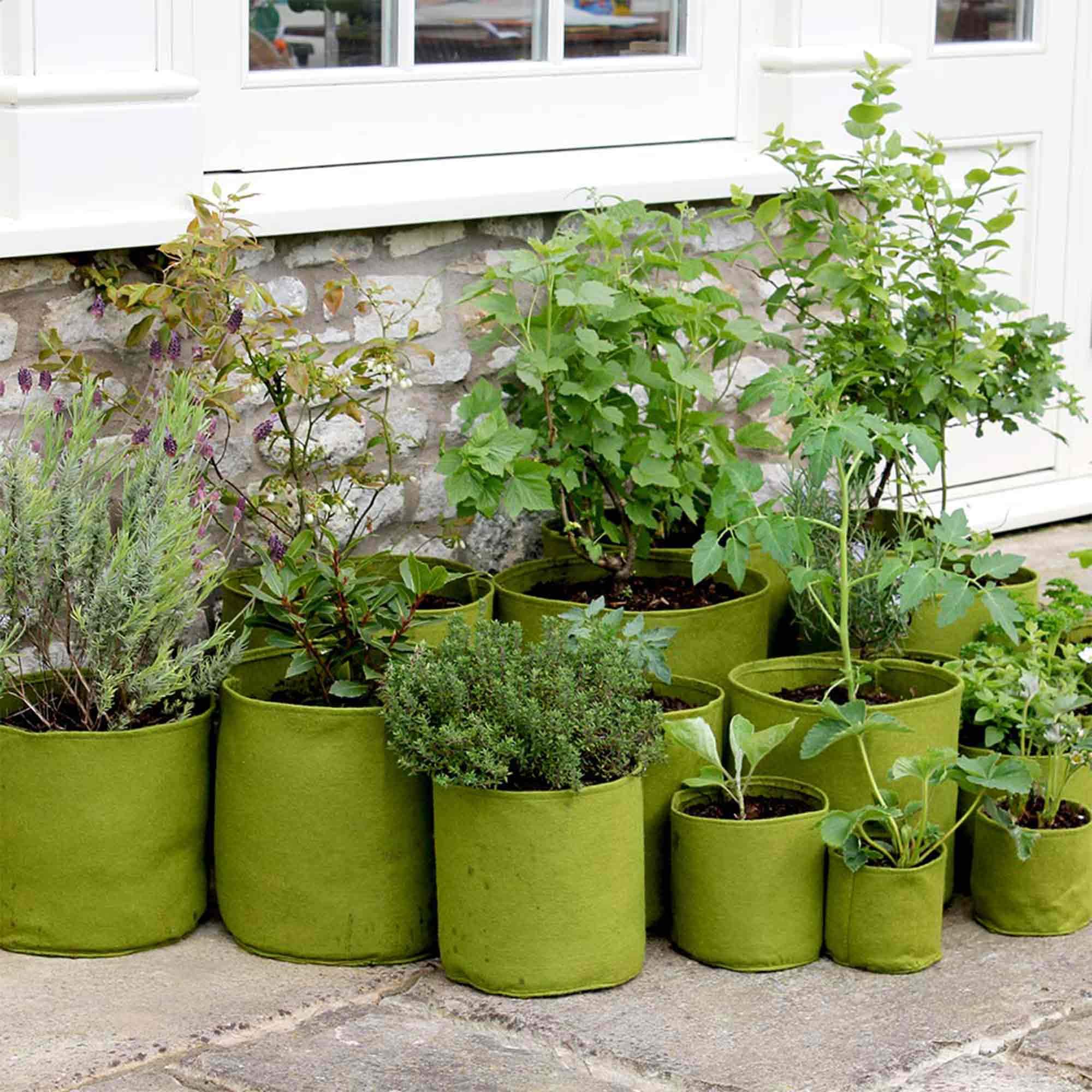 Suttons Vigoroot Planters (3 Pack) - 20 Litre, Grow Your own Veg and Fruit, Gardening Equipment, Veg Growing Equipment, Planters, Containers