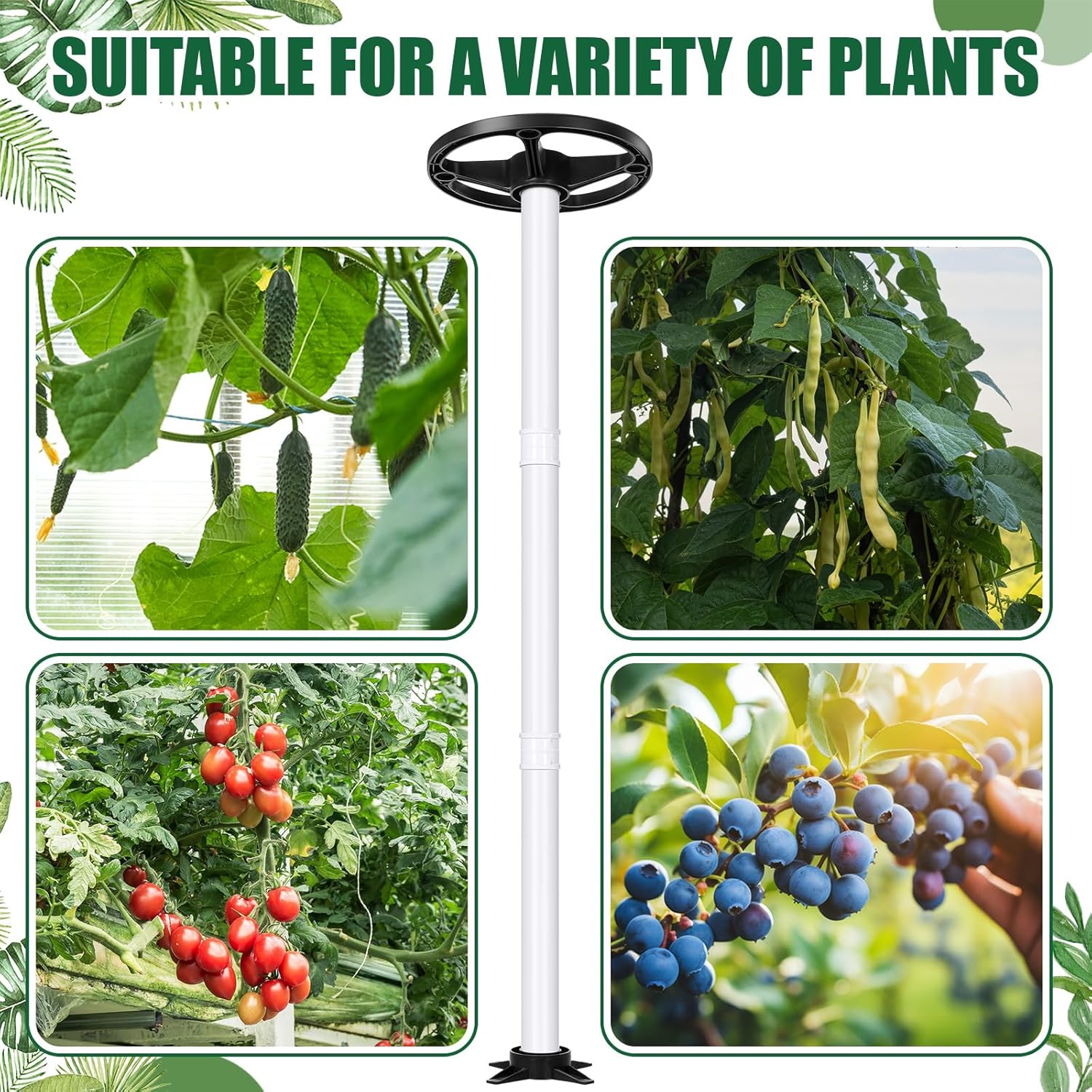 BreezeHug 2 Pcs Dragon Fruit Trellis 12 x 50 Inch Plant Cage Cactus Climbing Suppor Durable and Weatherproof, Requires Assembly