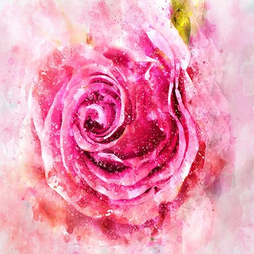 Free Guided Meditation and Relaxation