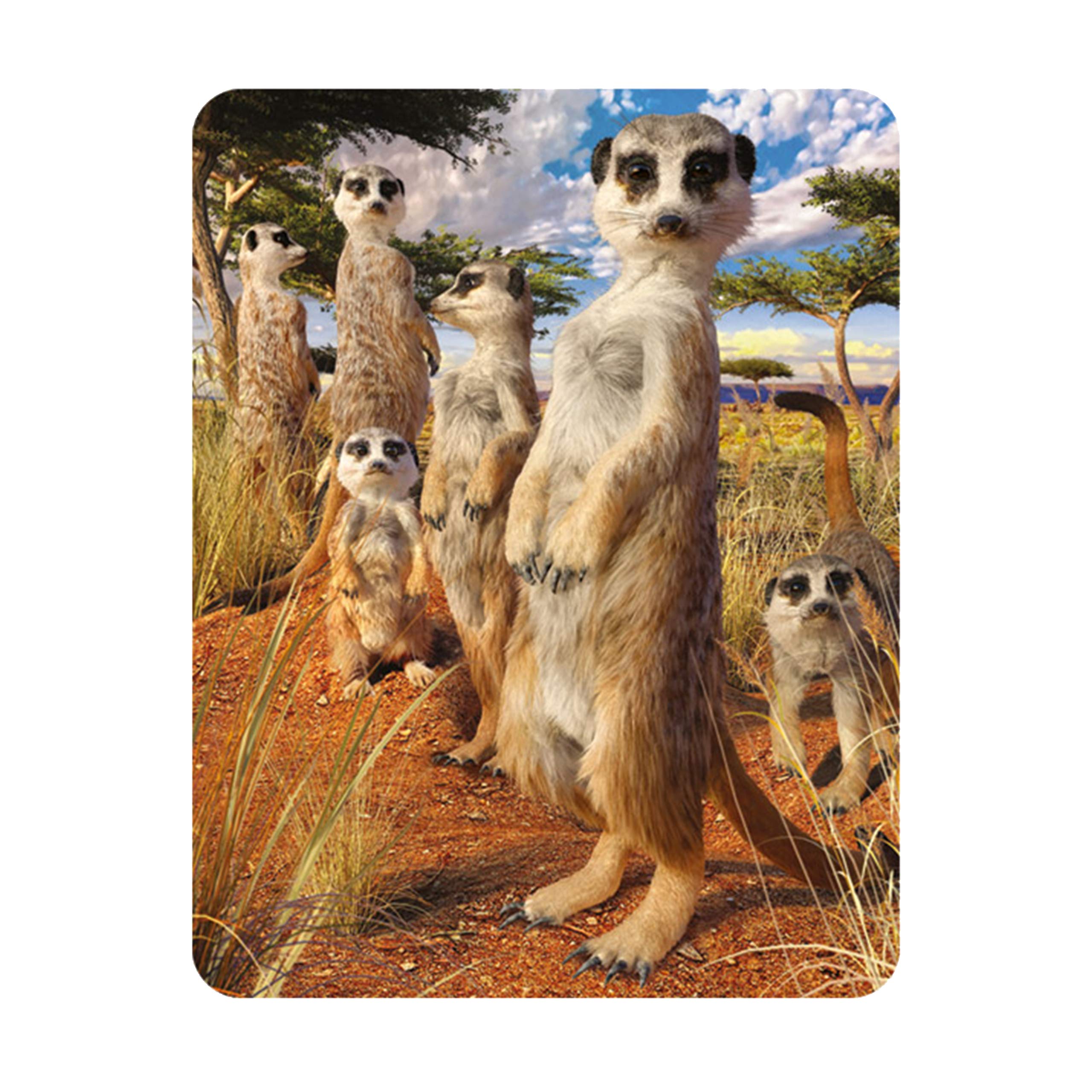 3D Livelife Meerkat Gaze Magnet - From Deluxebase. Lenticular Animal Fridge Magnet. Decorative 3D Meerkat Flat Magnets. Cute Small Magnets For Fridge, Dishwasher And Whiteboard.
