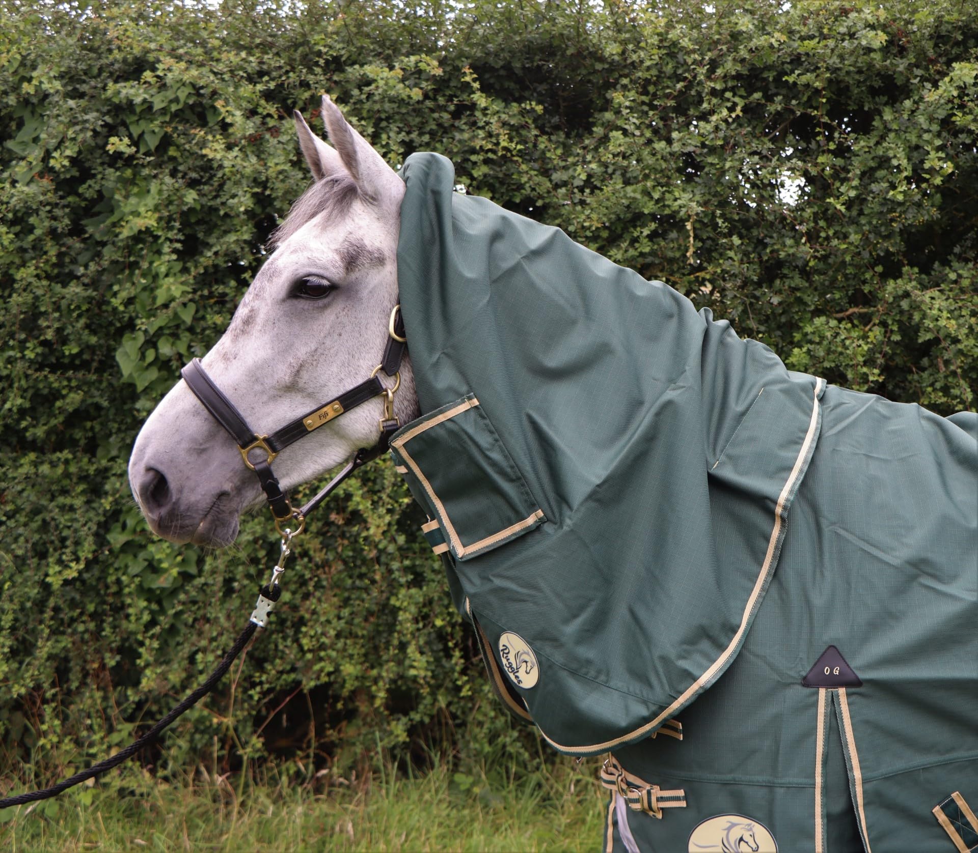 Ruggles Turnout NECK COVER for Horse/Pony | Lightweight No Fill | Teflon Coated 1200D Outer | Soft Anti Rub Lining (Medium, Sycamore)
