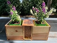 Review Image by Pattie Pattie