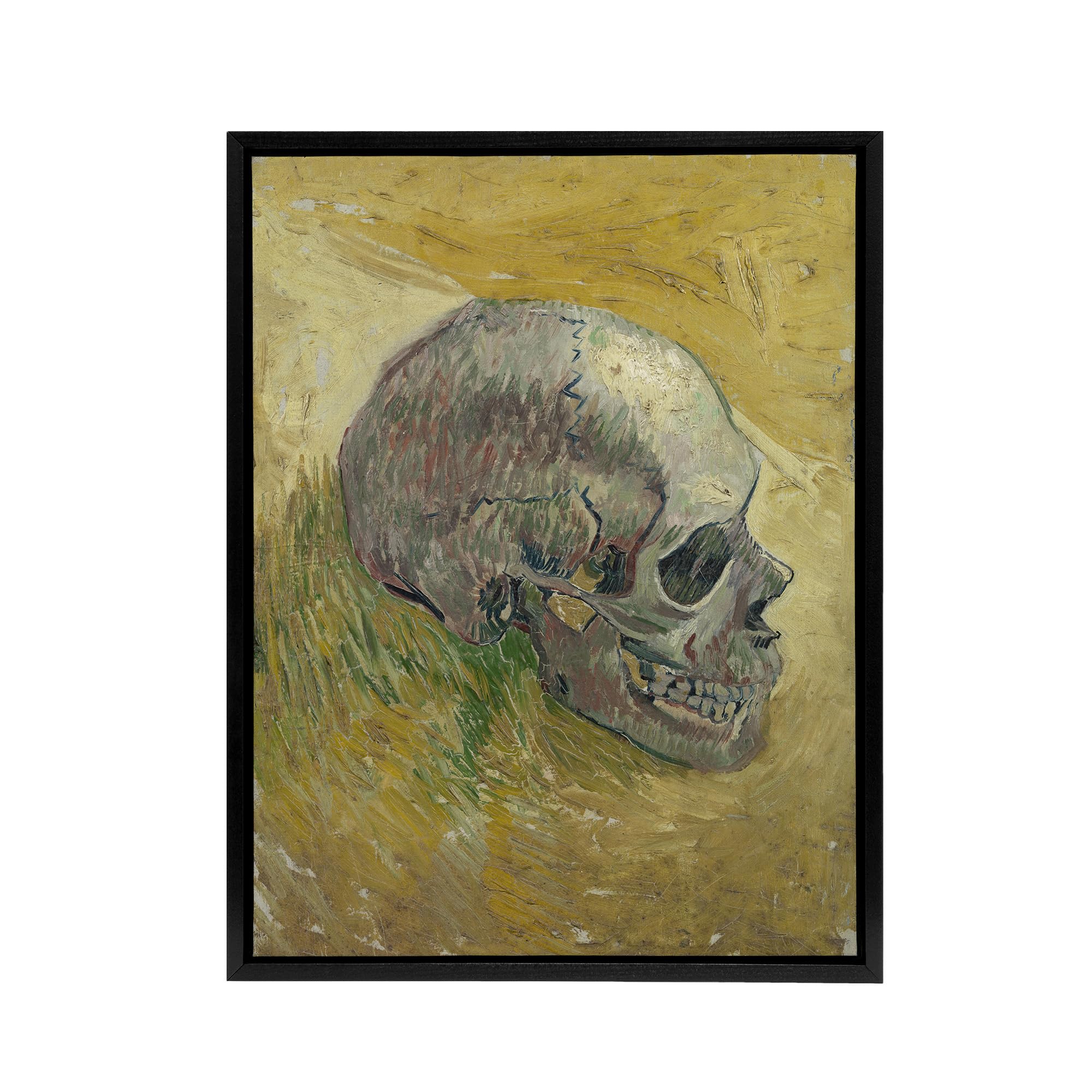 Artery8 Human Skull Study in Yellow Black Framed Canvas Wall Art Print 12X16 Artwork By Van Gogh : Vintage Skull Study Ideal For Study Or Classroom Offering Artistic Depth And Anatomical Interest