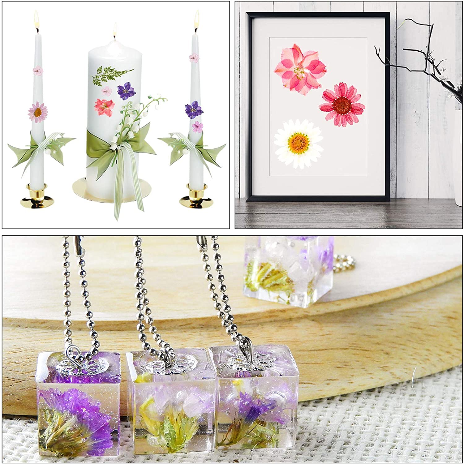 105 Stück Natürliche Getrocknete Blumen, DIY Gepresste Blumen Gemischte Getrocknete Blätter Getrocknet Gänseblümchen Gemischt für Kunst Basteln DIY Harz Scrapbooking Handwerk Karten Machen