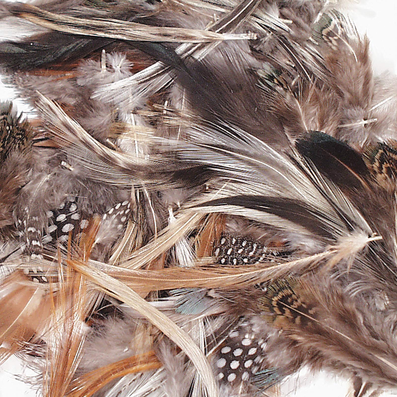 Creativity Street Natural Feathers, Natural Assorted Colors, Assorted Sizes, 1/2 oz.