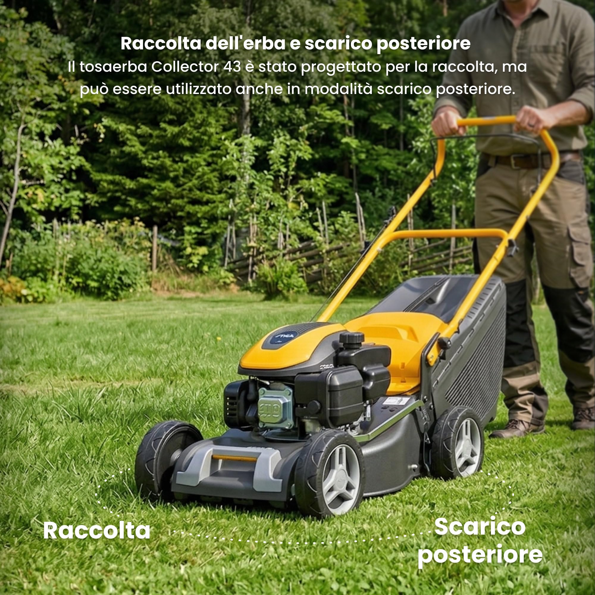 STIGA COLLECTOR 43 - Rasaerba a scoppio 123 cm³ 1,9 kW, larghezza di taglio 41 cm, scocca in acciaio, avanzamento a spinta, regolazione centralizzata dell'altezza di taglio, sacco raccolta da 60 litri