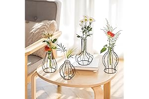 Sziqiqi Black Wire Vase: Minimalist Modern Decor for Plant Lovers