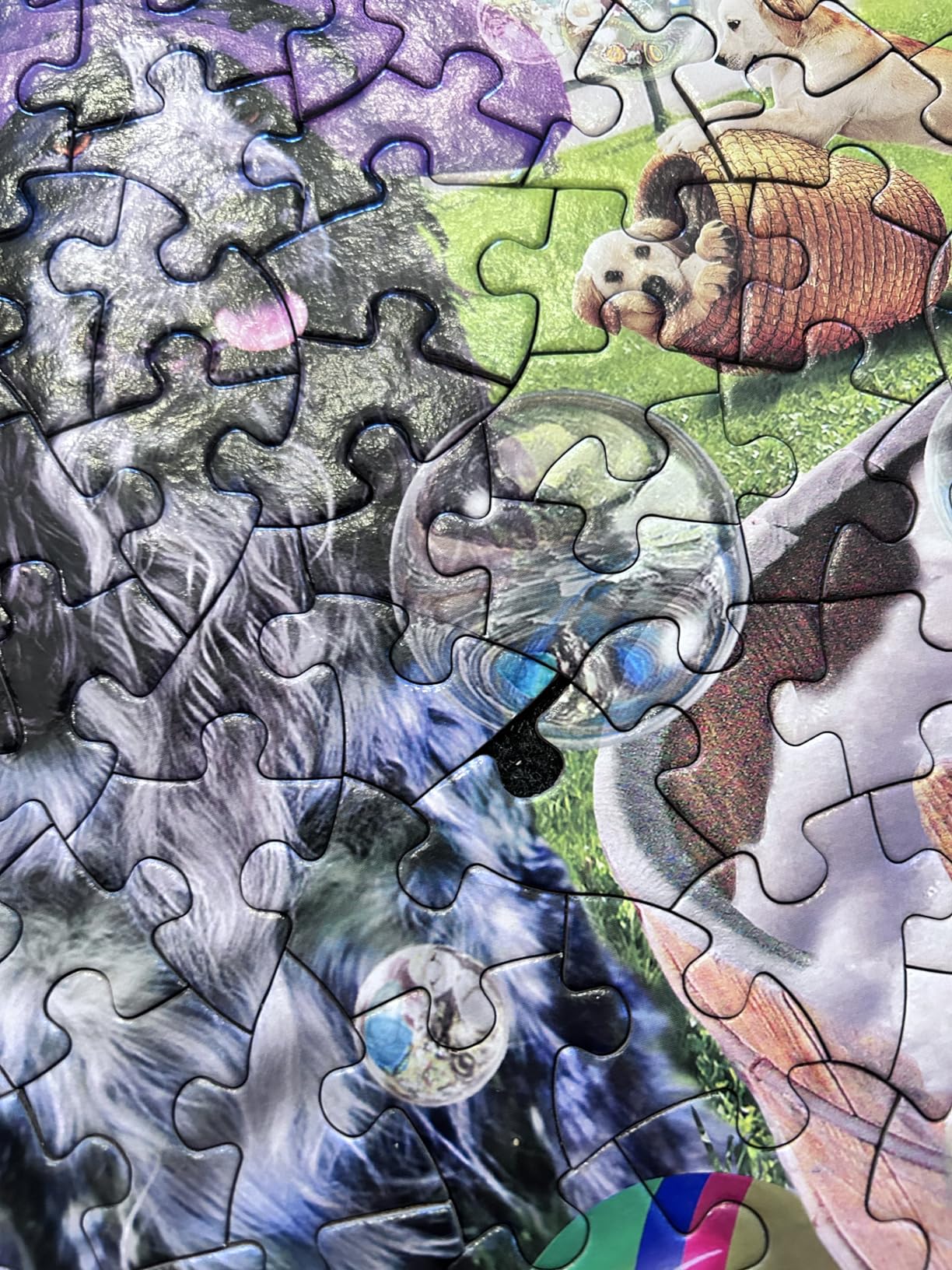 Colorful Exotic Bird Puzzle Peacocks - Colorful Exotic Bird Flower