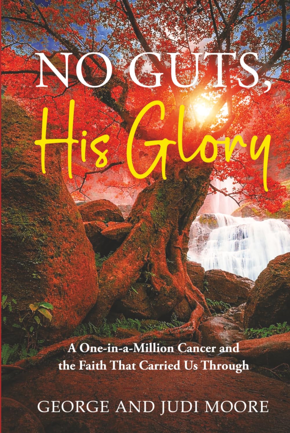 No Guts, His Glory: A One-in-a-Million Cancer and the Faith That Carried Us Thro