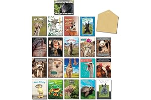 Leanin' Tree Wildly Funny Greeting Cards for Birthdays in Bulk (20 Premium Funny Cards)