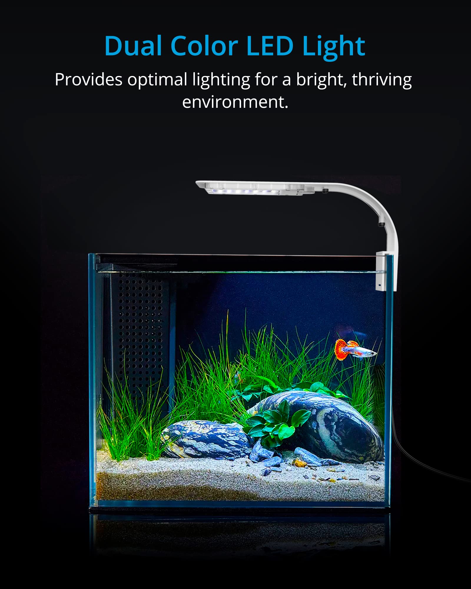 NICREW Led Acquario 40 LED Sottile 8 W Bianco Luce Blu e Bianca