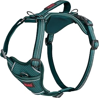 HALTI Anatomy Dog Harness with Handle - Freedom of Movement for Your Dog. 3 Leash Connection Points, Neoprene Padding, Adjustable and Reflective (Small, Teal)