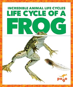 Life Cycle of a Frog Pogo Books Incredible Animal Life Cycles