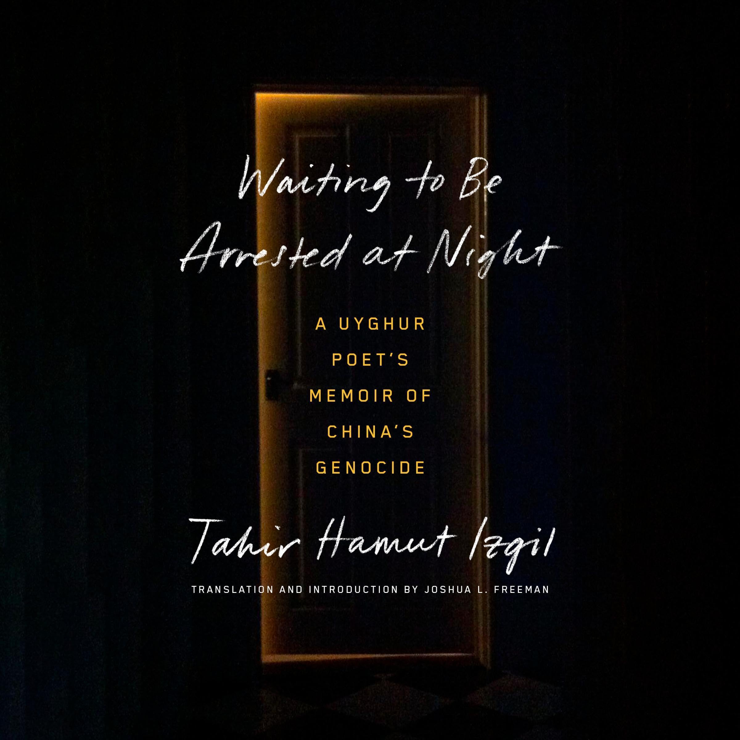 Cover art for Waiting to Be Arrested at Night