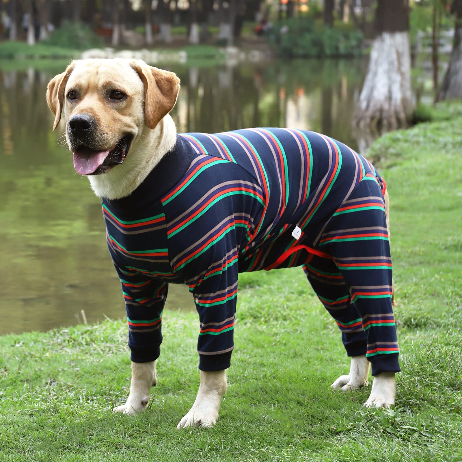 Traje de recuperación de cirugía para perro, mameluco con piernas, manga larga, transpirable, para después de cirugía, pijama anti lamer, herida abdominal, cono de perro (M, azul)