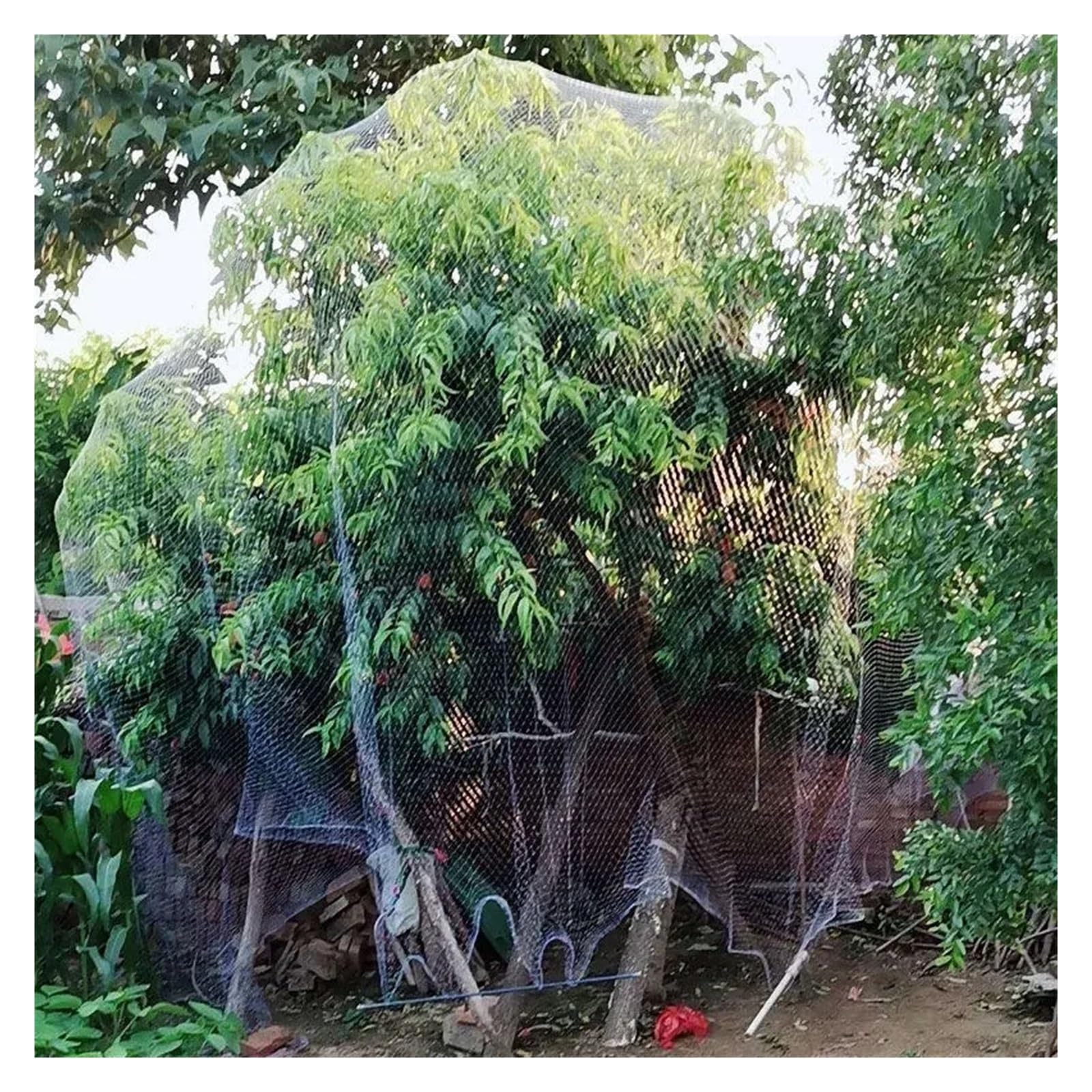 Rotolo di Rete Metallica in plastica, Rete for Uccelli in Nylon Bianco for Giardino, Frutta, Alberi, peschiera agricola, Dimensioni Multiple(White 3.0m Width,15m Length)